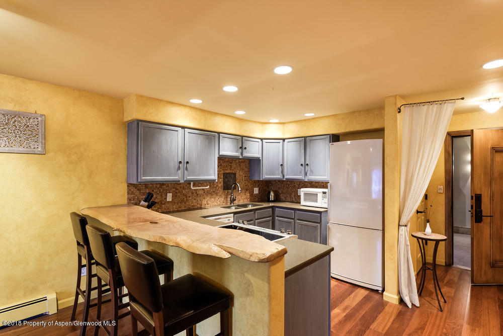 205 E Durant Avenue Aspen CO 81611