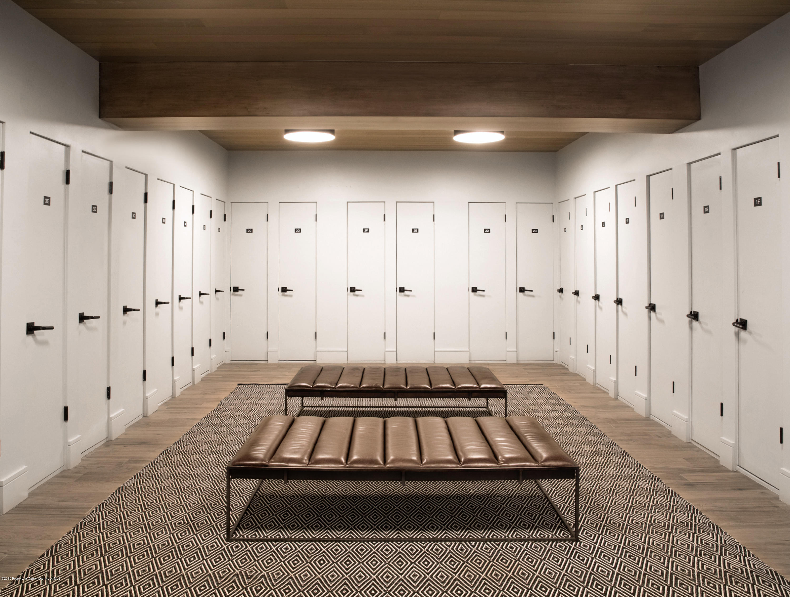 205 E Durant Avenue Aspen CO 81611