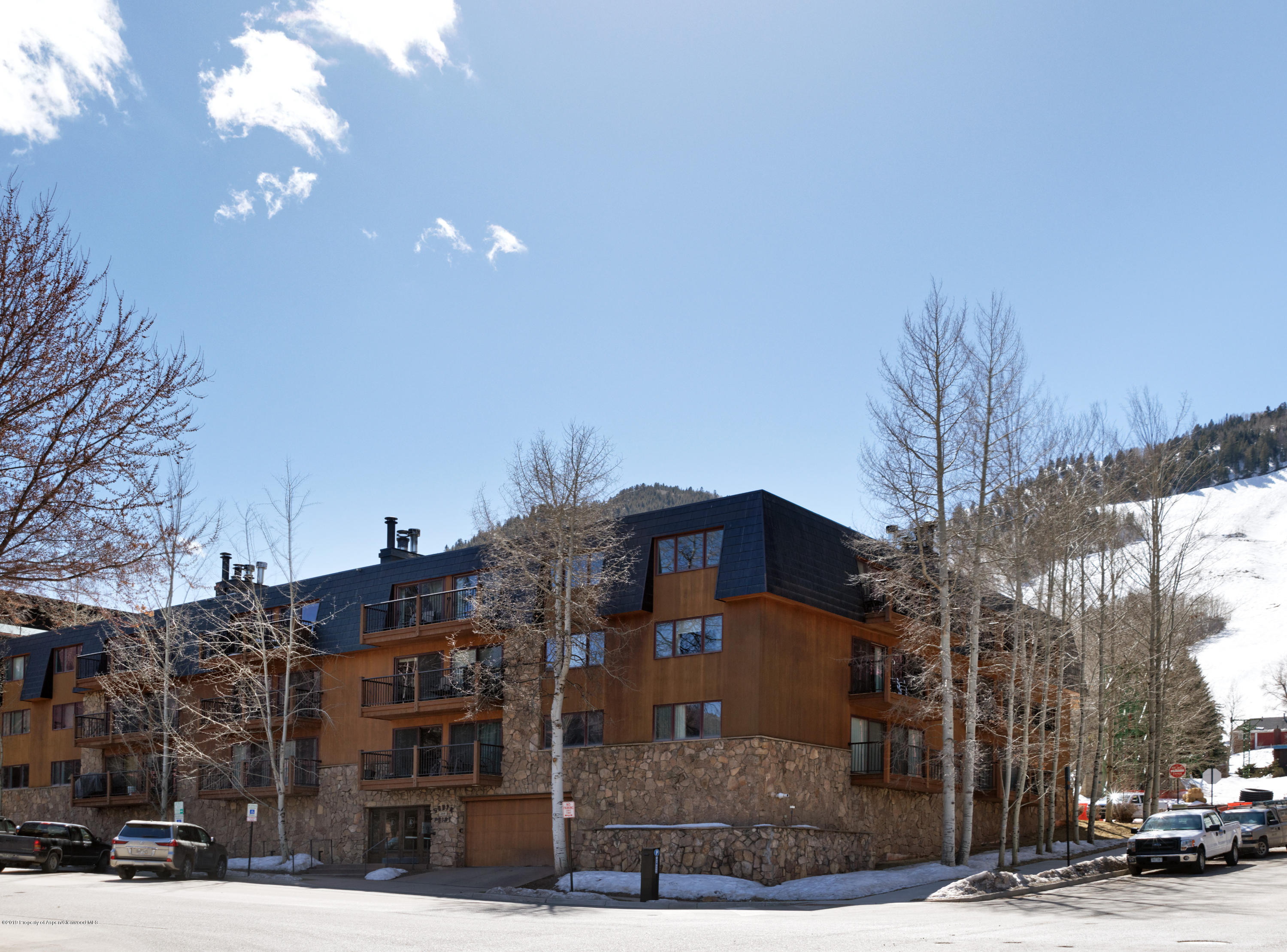 205 E Durant Avenue Aspen CO 81611