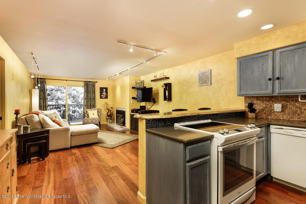 205 E Durant Avenue Aspen CO 81611