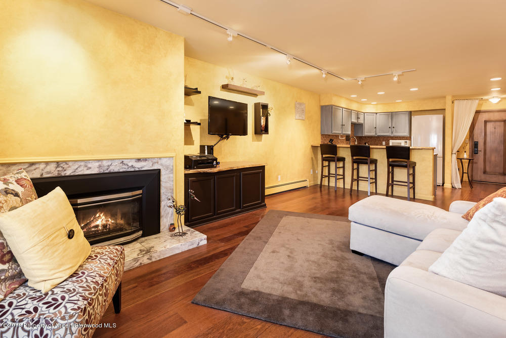 205 E Durant Avenue Aspen CO 81611