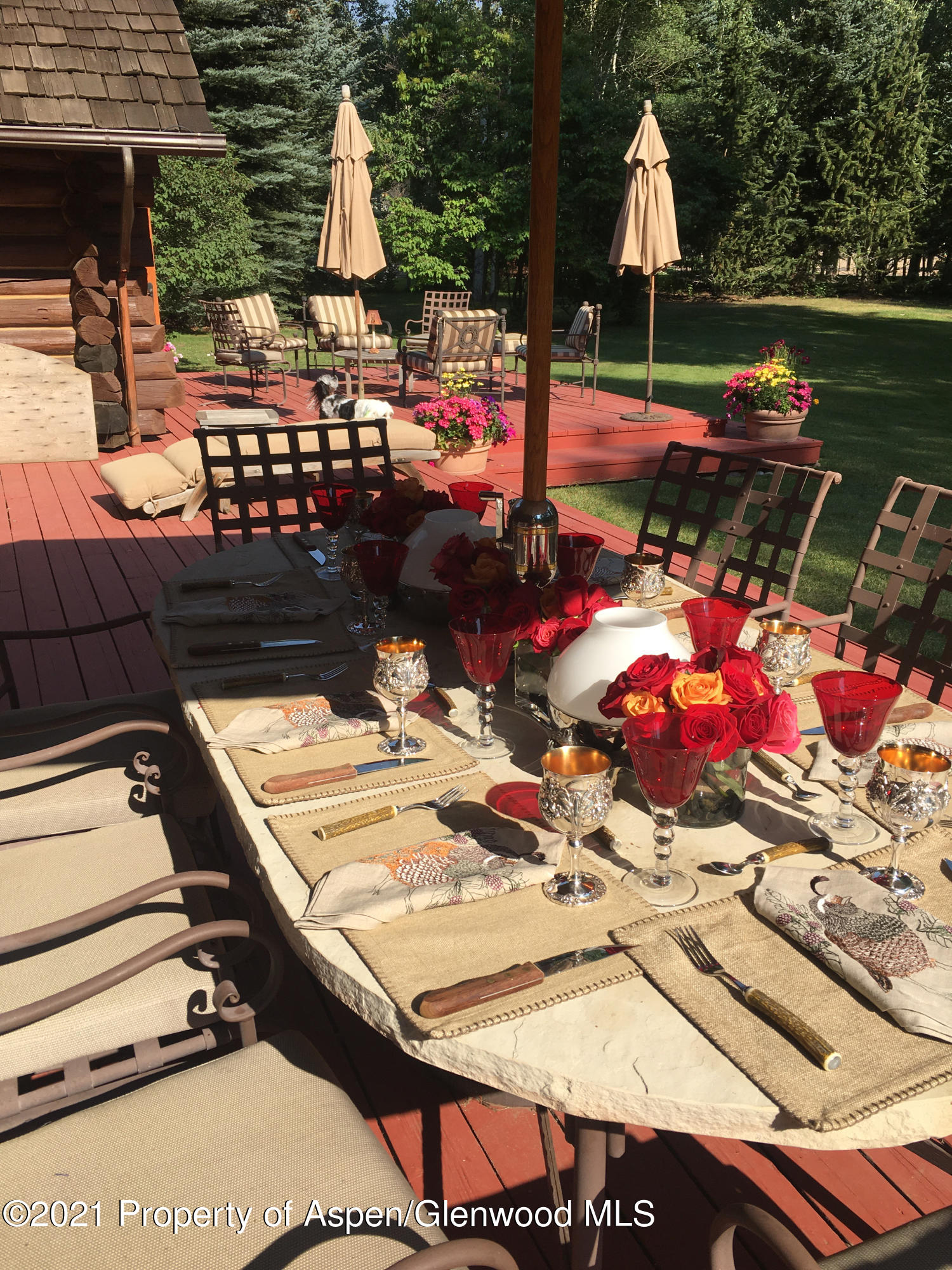 1305 Red Butte Drive Aspen CO 81611