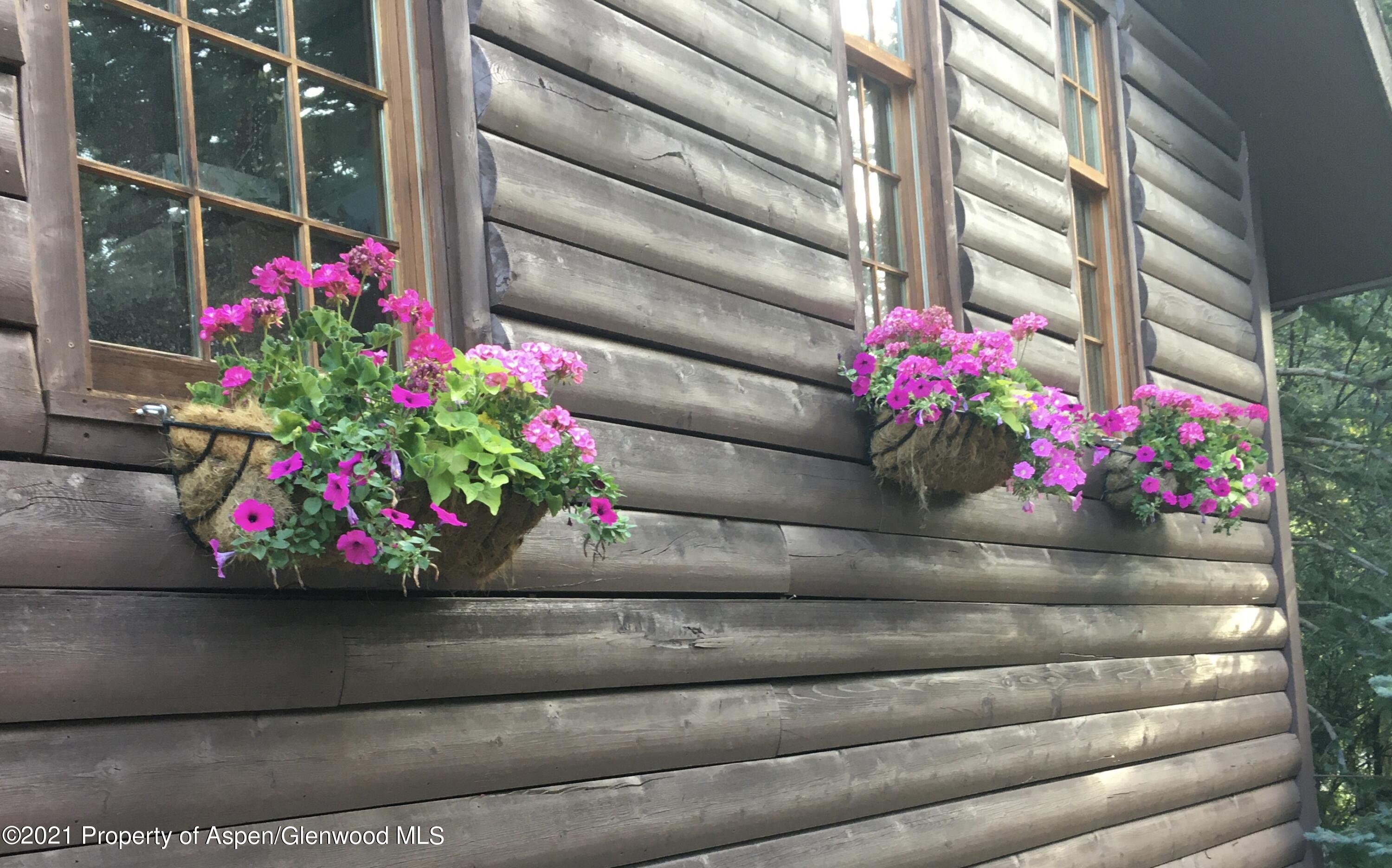 1305 Red Butte Drive Aspen CO 81611