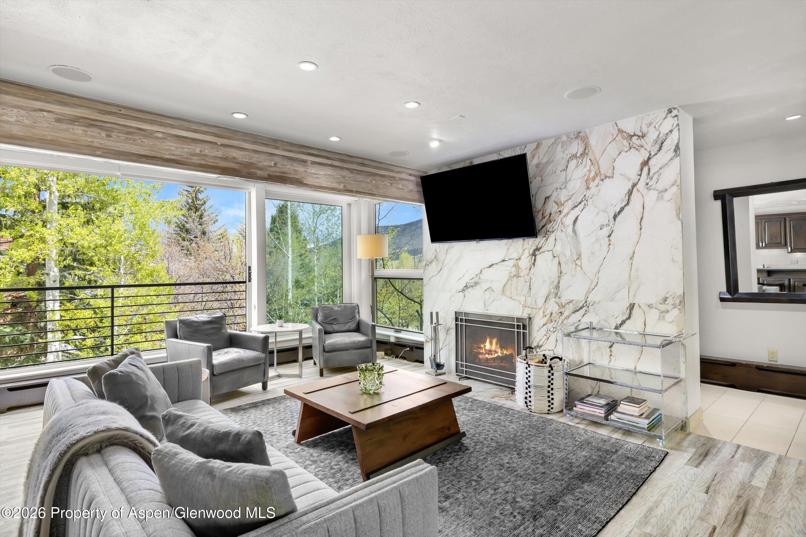 Aspen CO, 738 S Galena Street, Unit 1-C