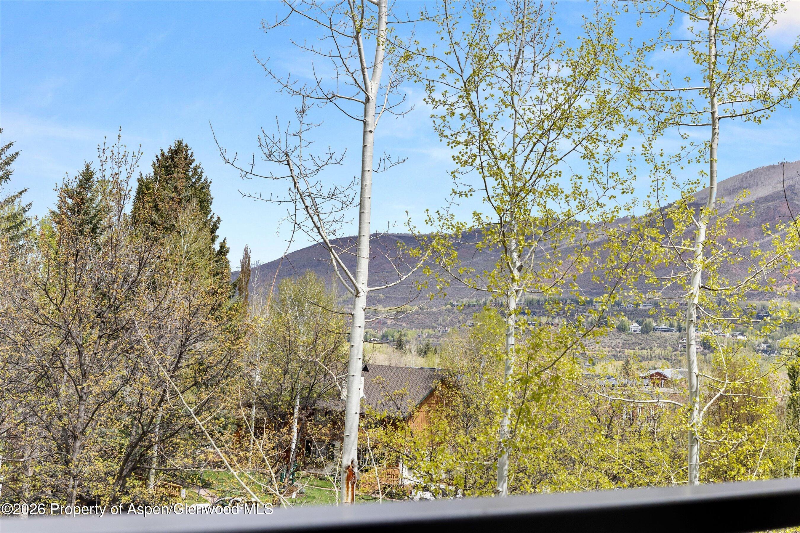 738 S Galena Street Aspen CO 81611