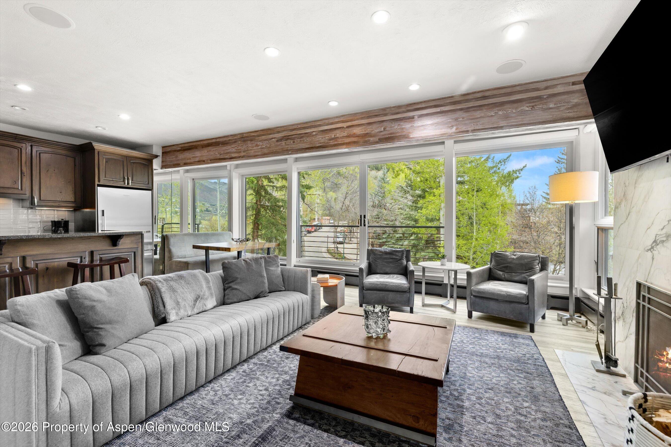 738 S Galena Street Aspen CO 81611