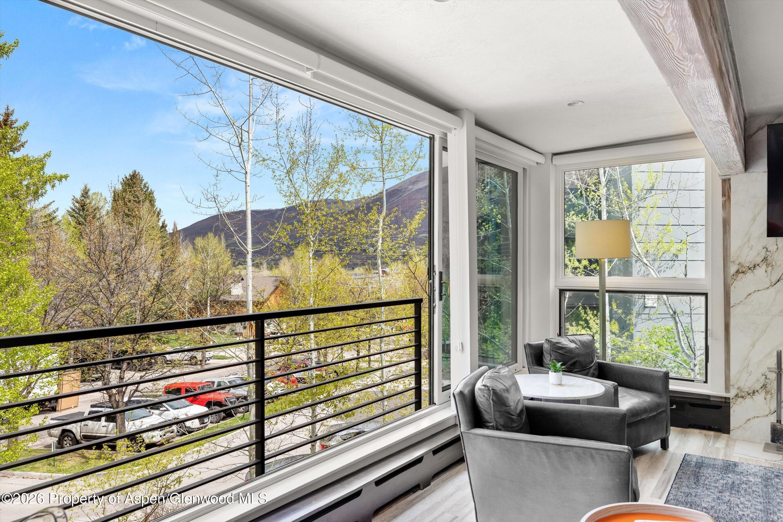 738 S Galena Street Aspen CO 81611