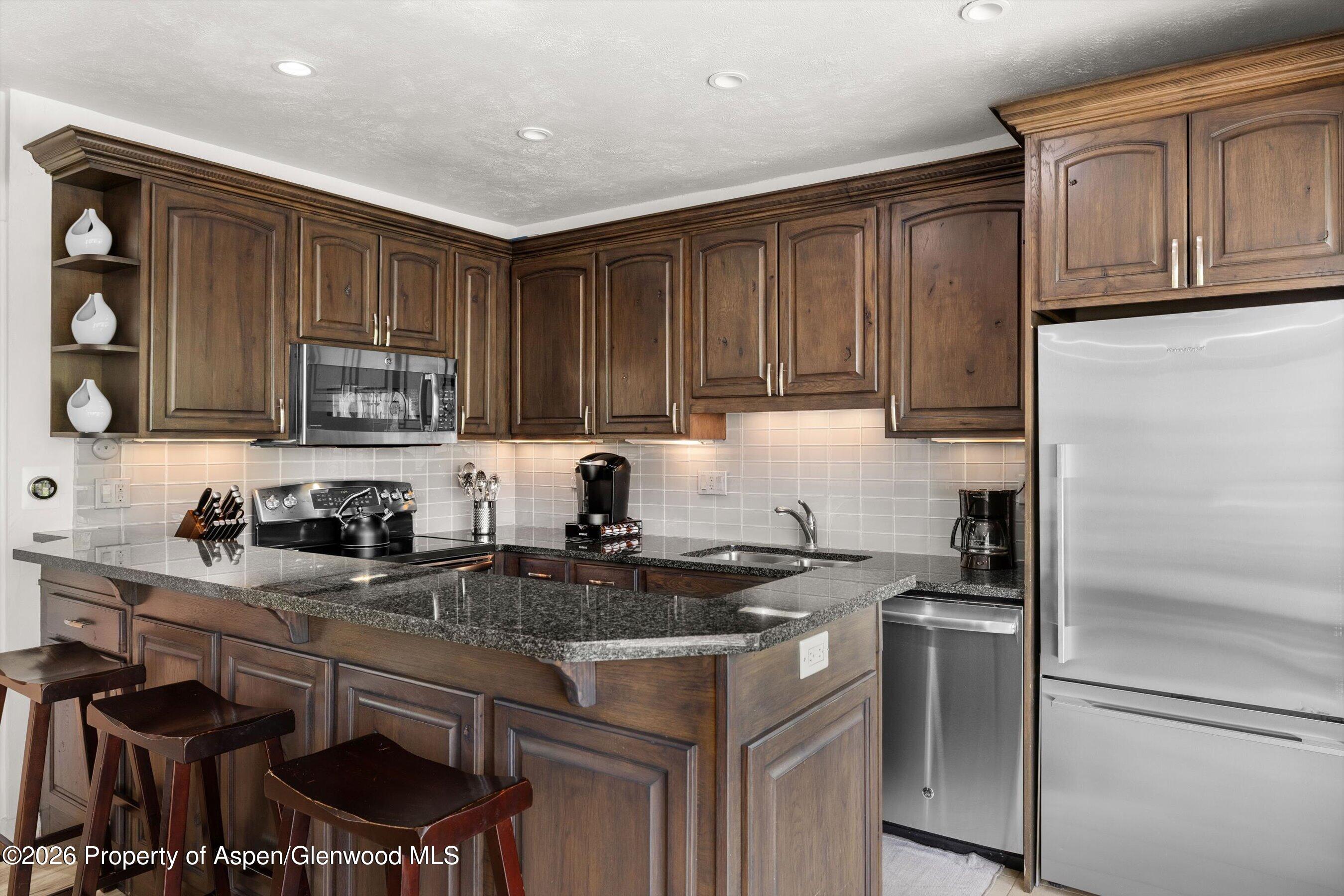 738 S Galena Street Aspen CO 81611