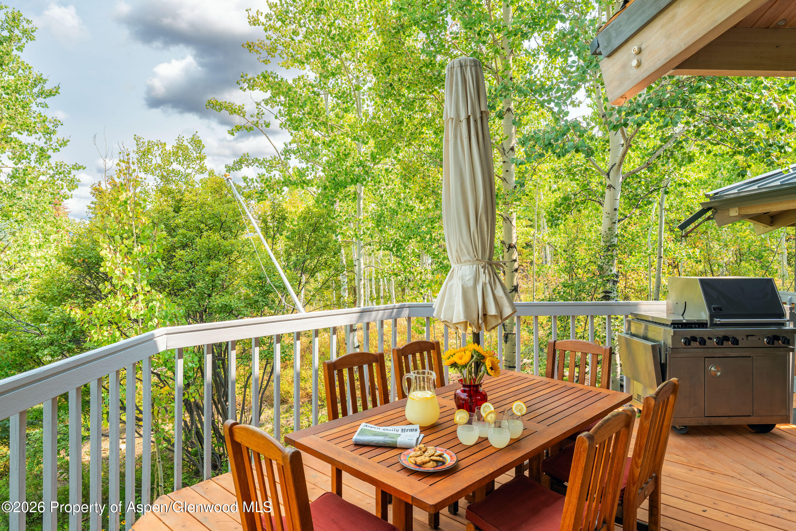 239 Antler Ridge Lane Snowmass Village CO 81615