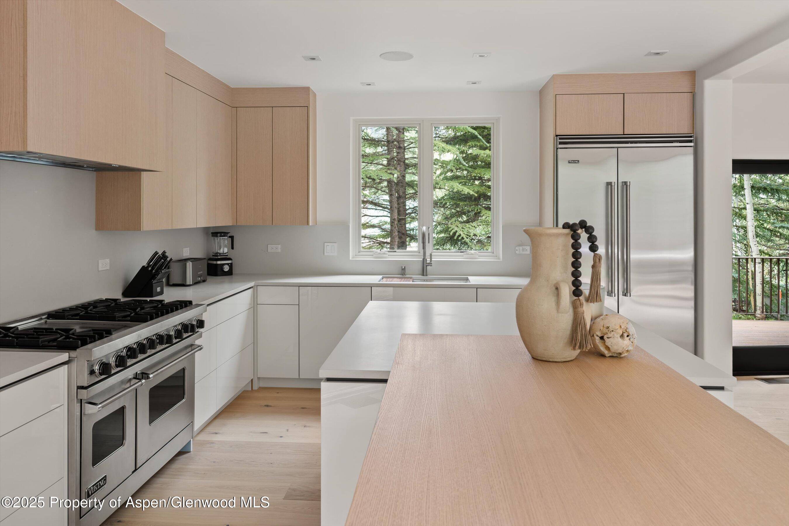 440 Alpine Court Aspen CO 81611