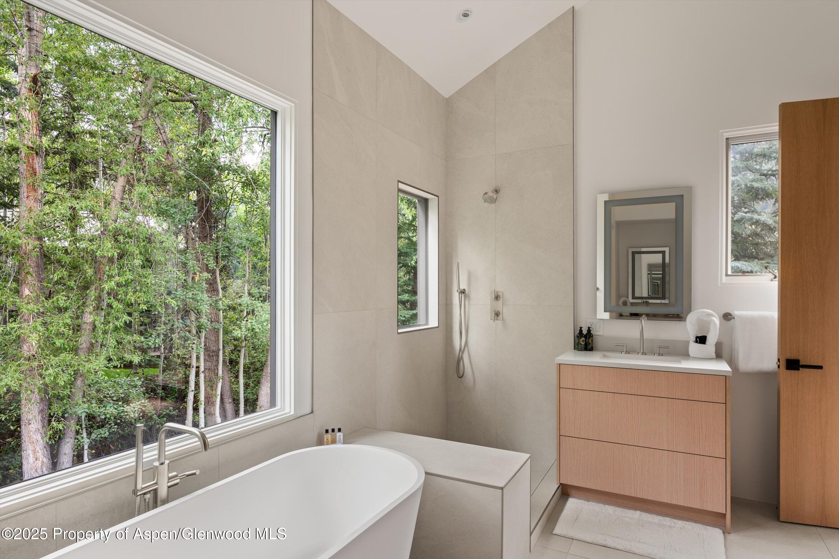 440 Alpine Court Aspen CO 81611