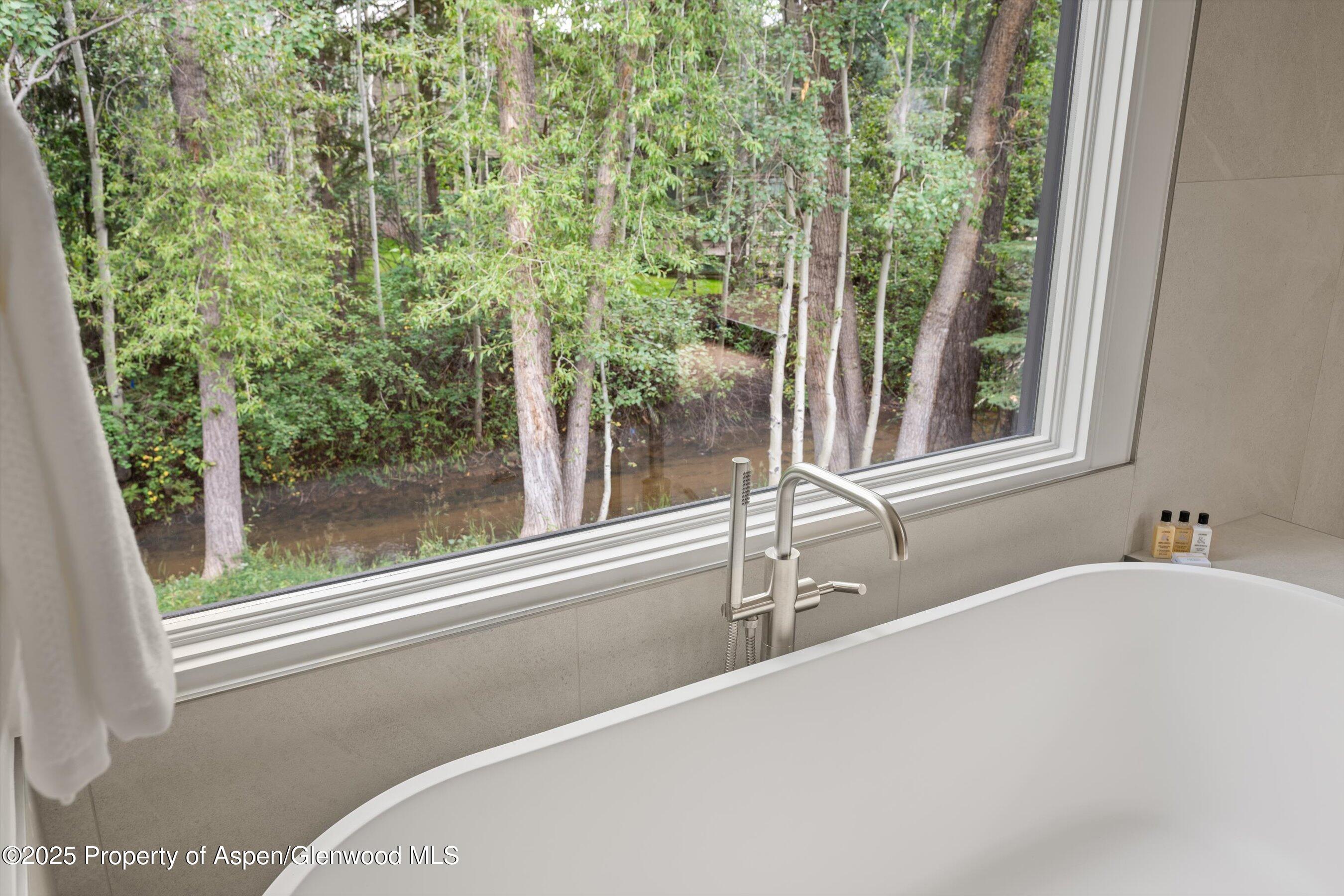 440 Alpine Court Aspen CO 81611