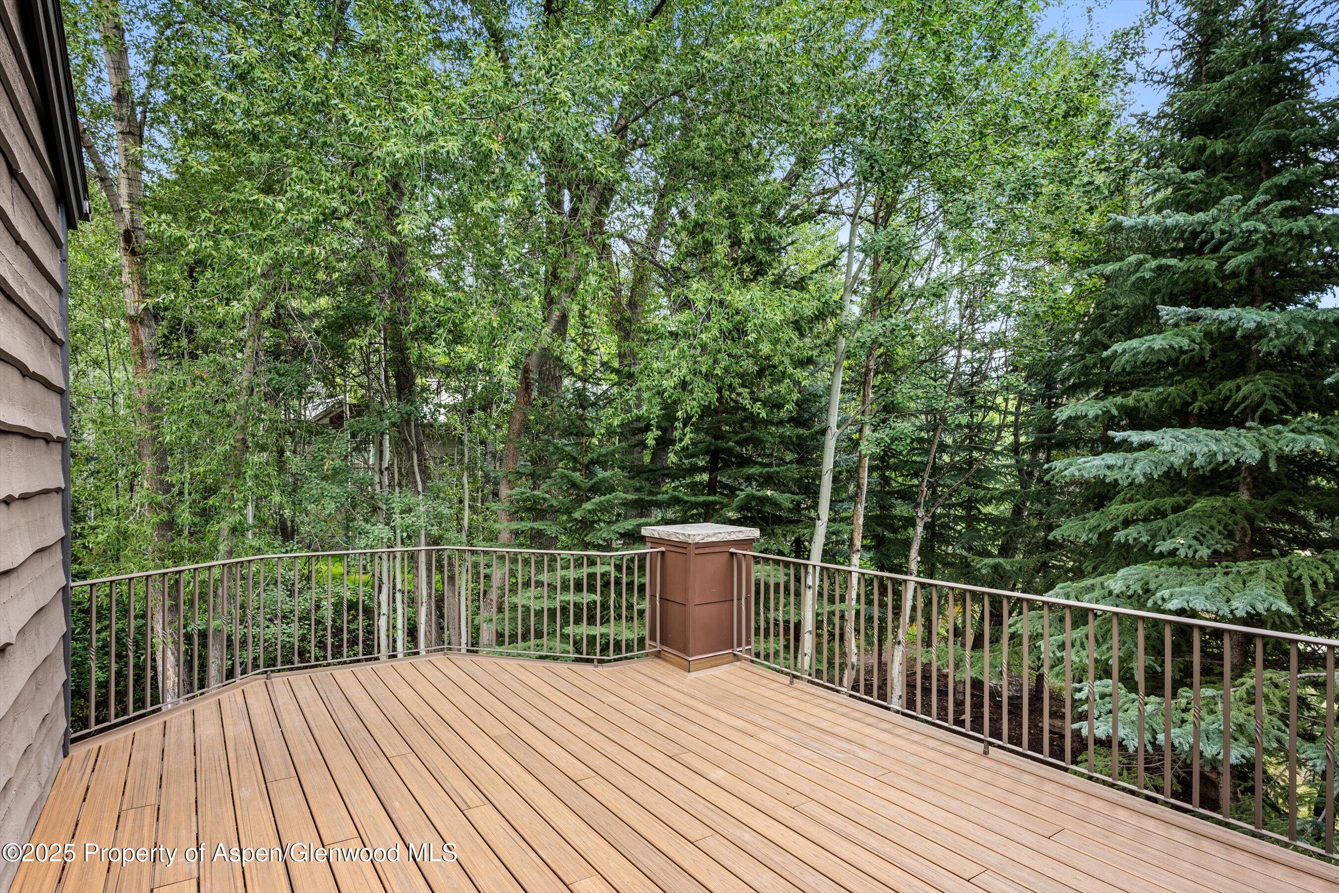 440 Alpine Court Aspen CO 81611