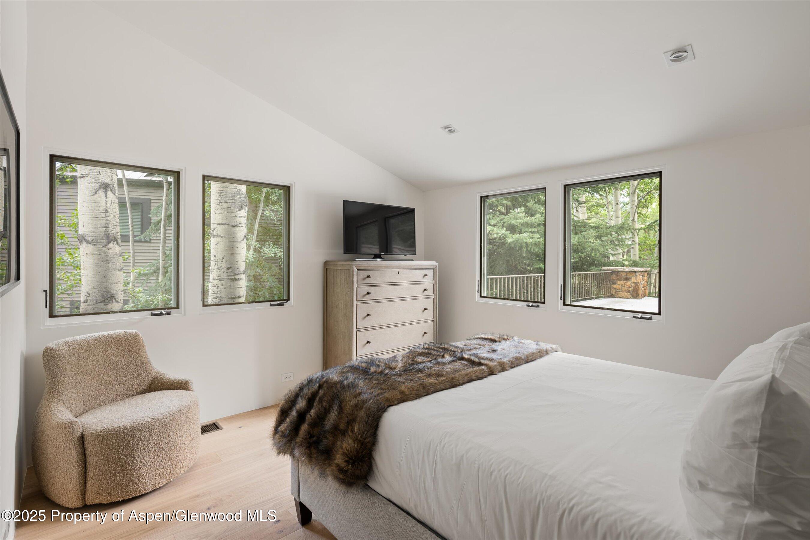 440 Alpine Court Aspen CO 81611