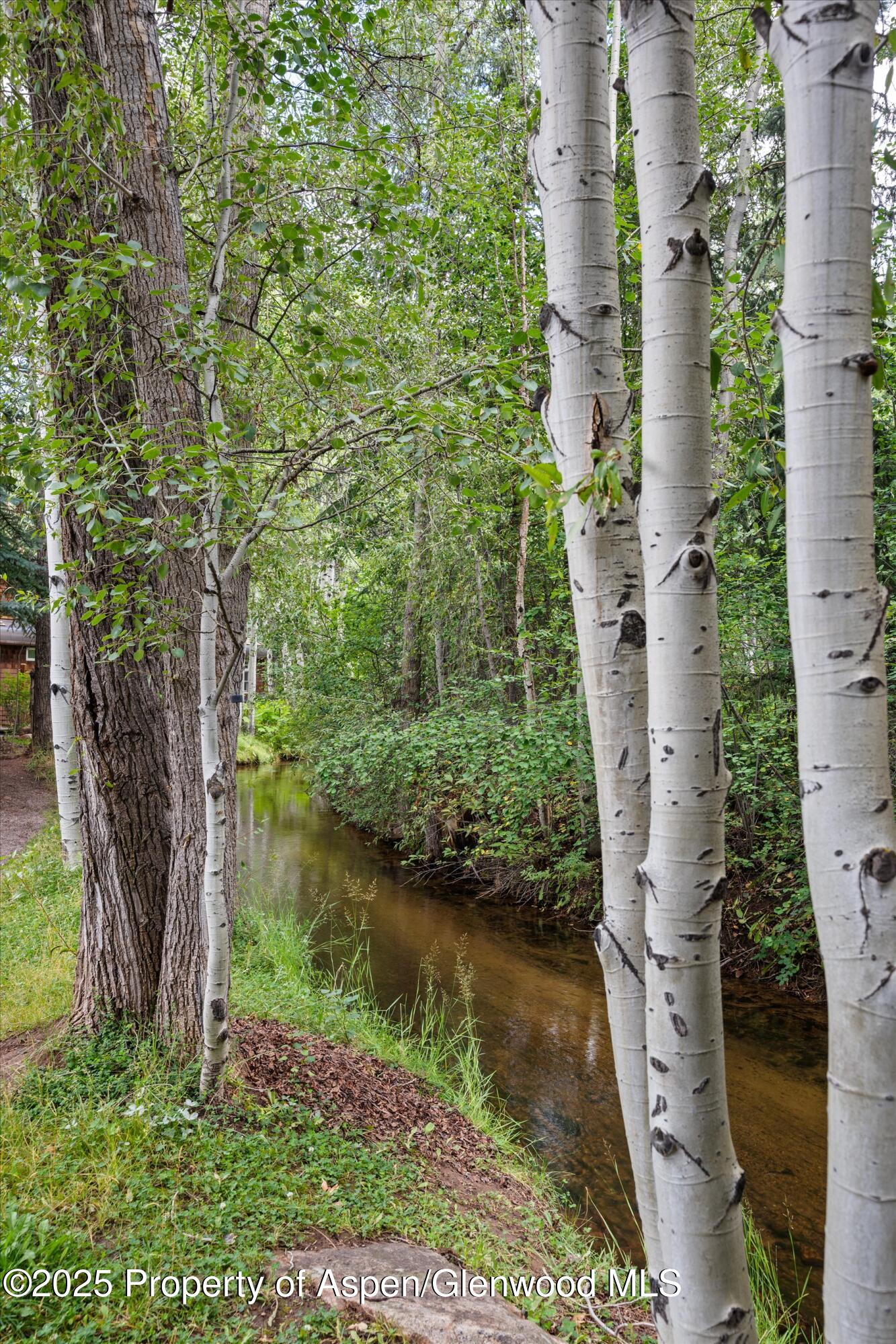 440 Alpine Court Aspen CO 81611