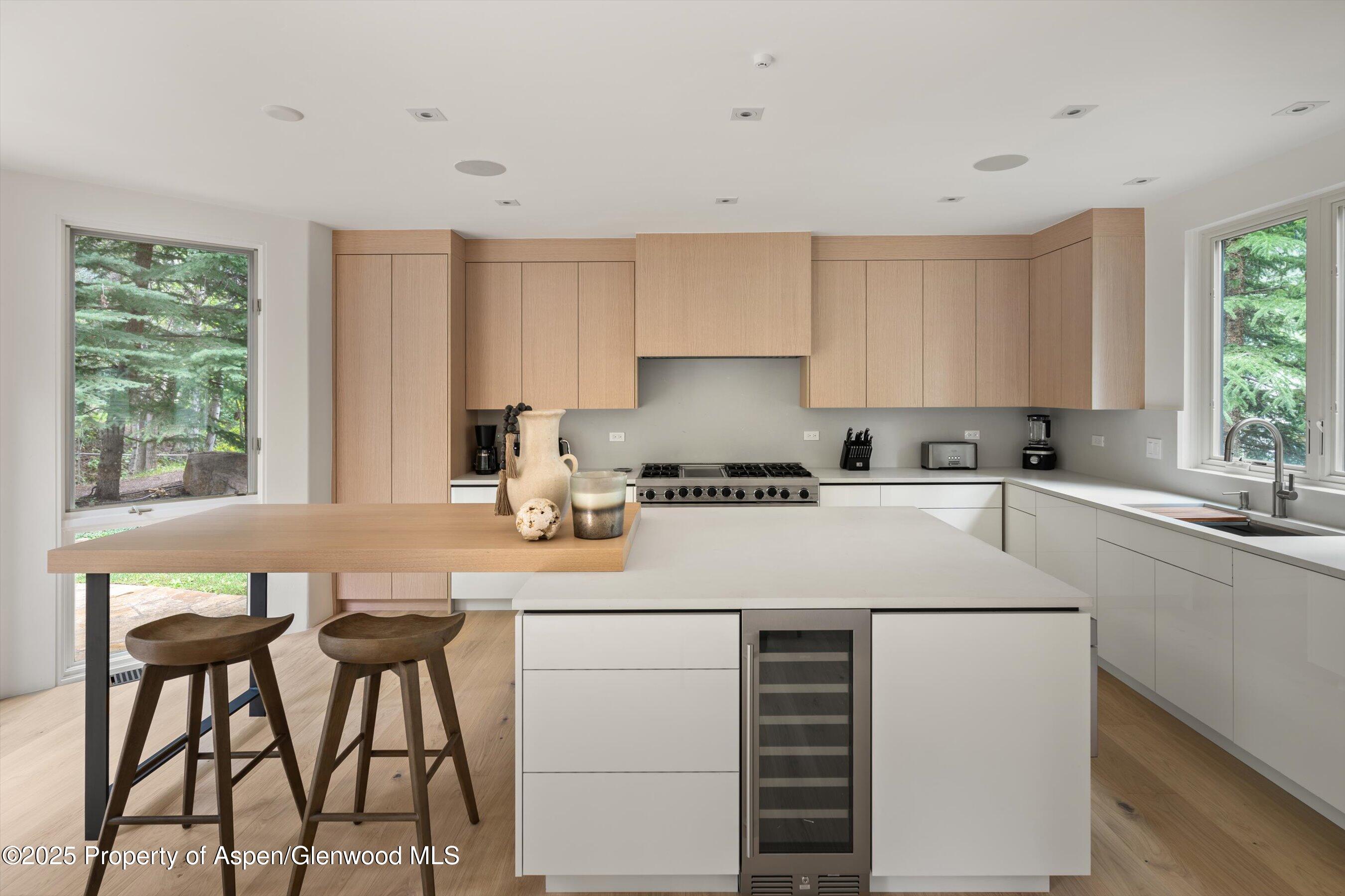 440 Alpine Court Aspen CO 81611