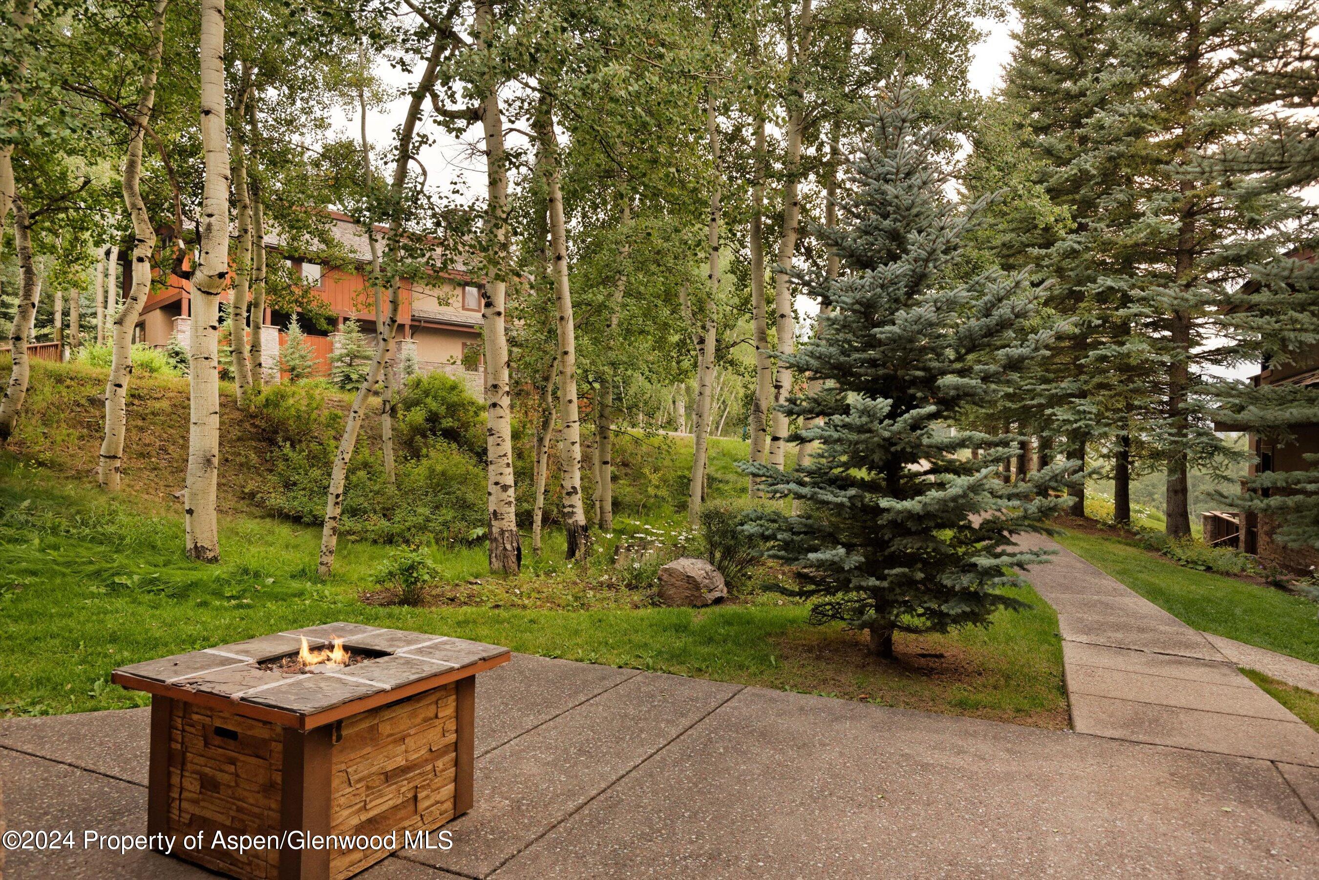 227 Faraway Road Snowmass Village CO 81615