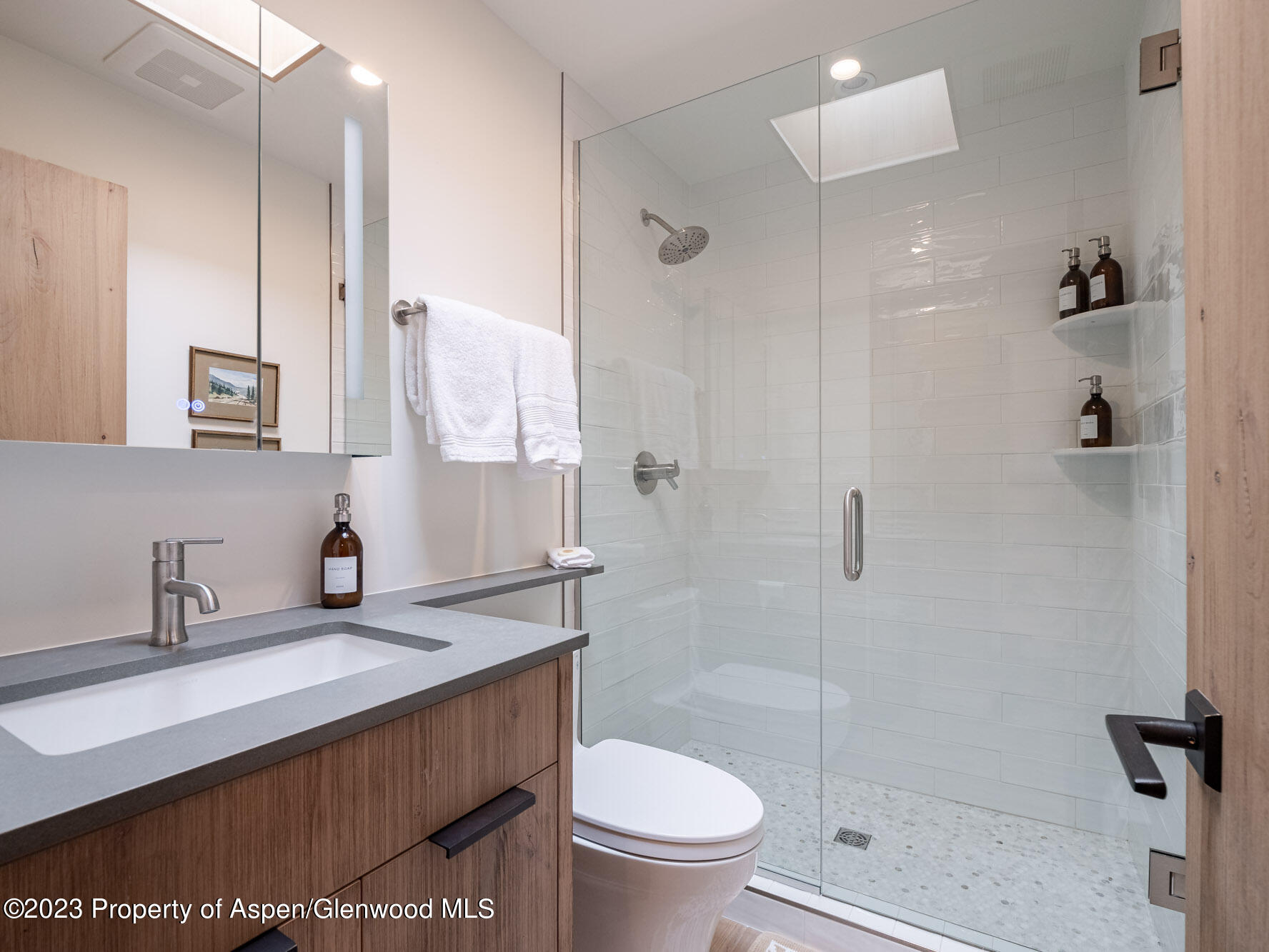 205 E Durant Avenue Aspen CO 81611