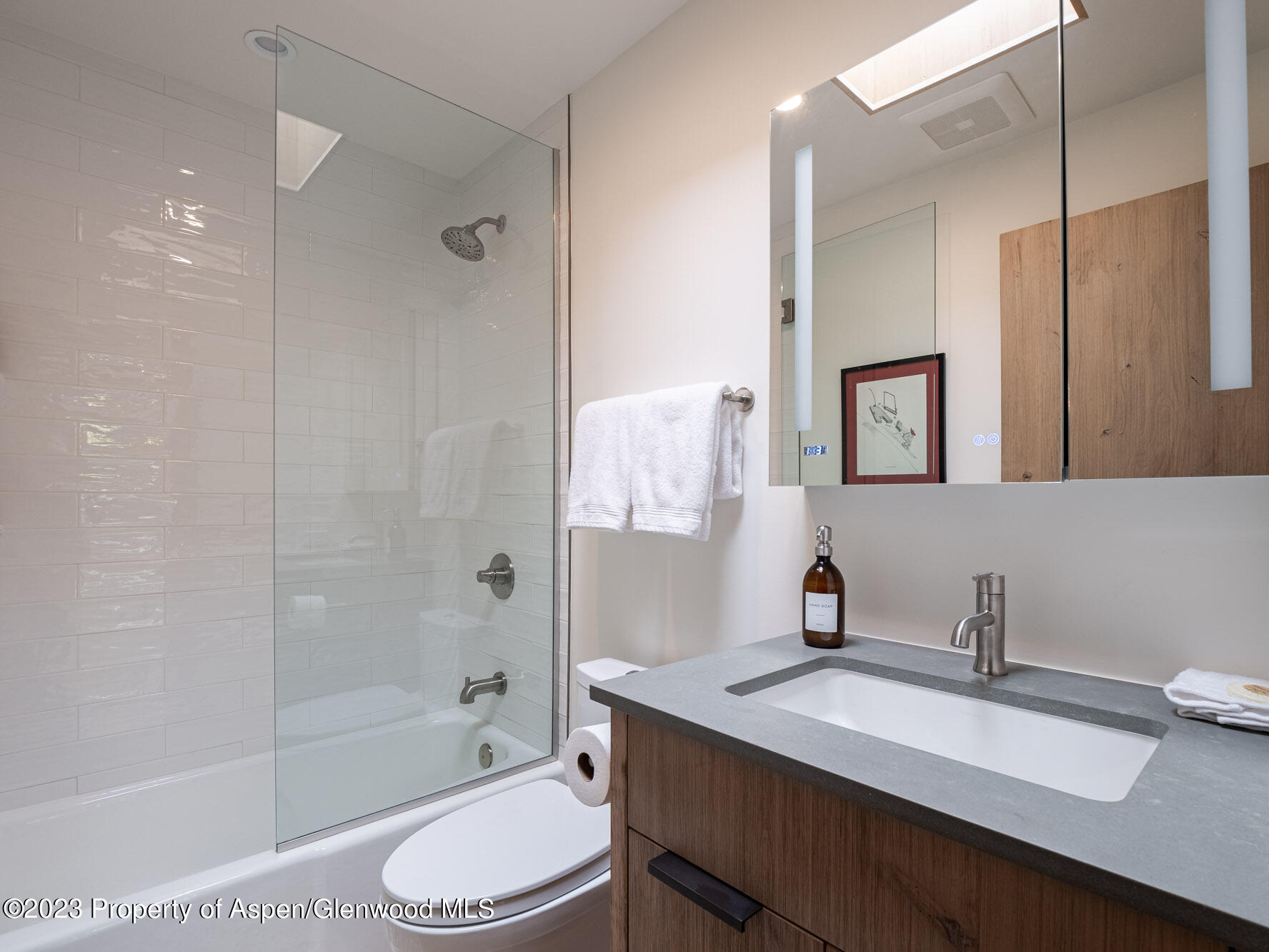 205 E Durant Avenue Aspen CO 81611