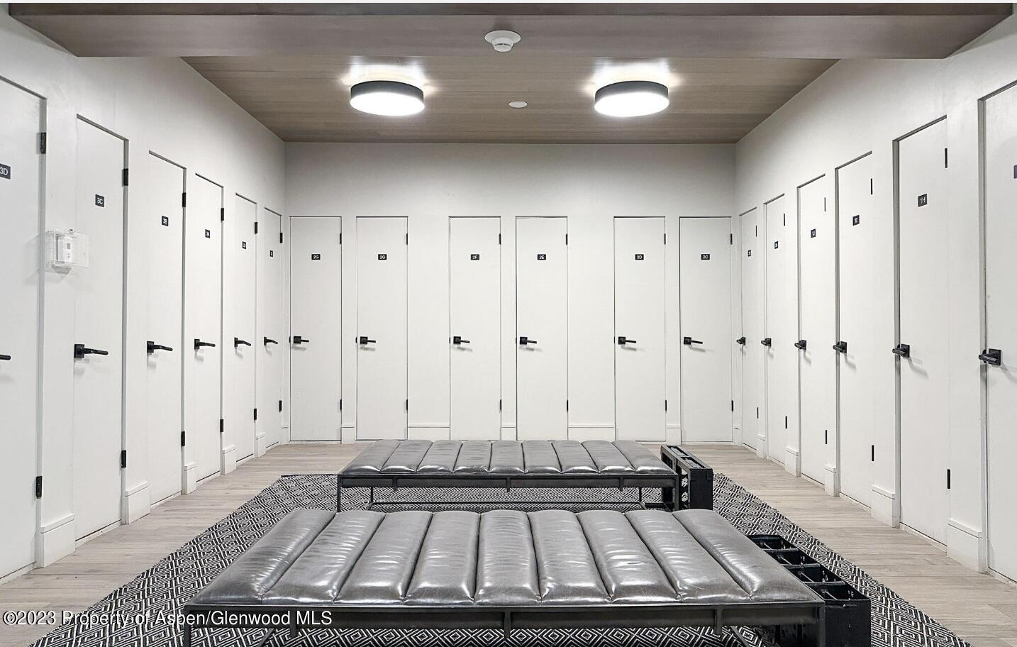 205 E Durant Avenue Aspen CO 81611