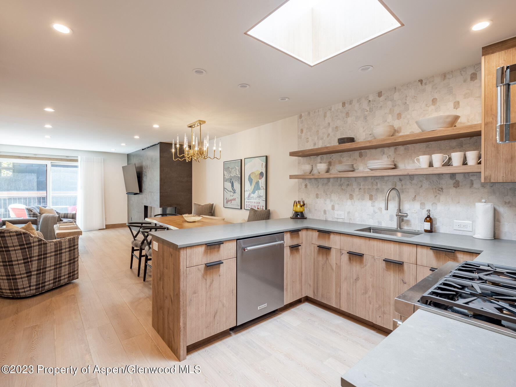 205 E Durant Avenue Aspen CO 81611