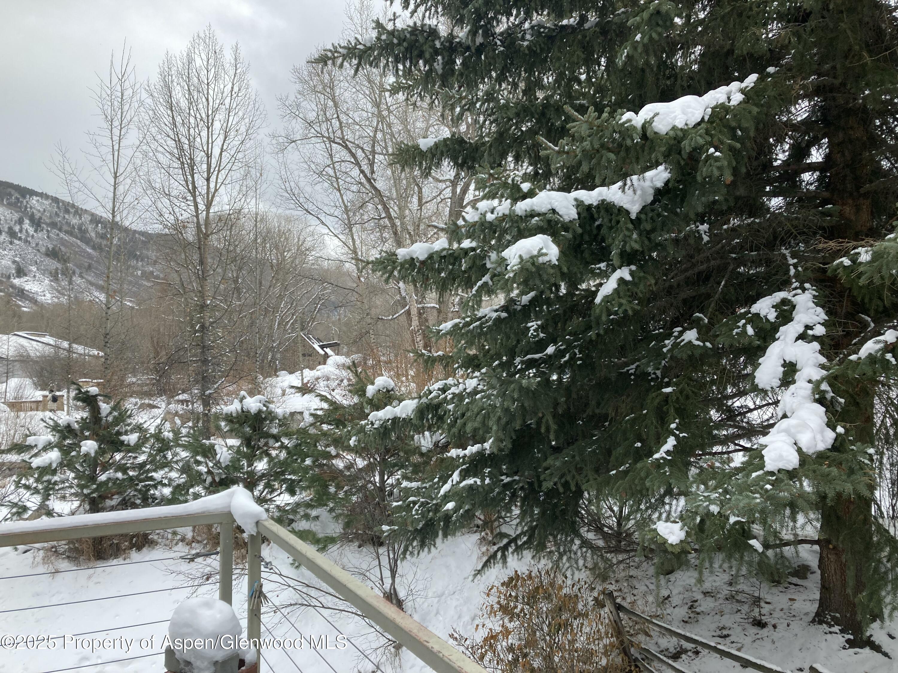 410 N Mill Street Aspen CO 81611