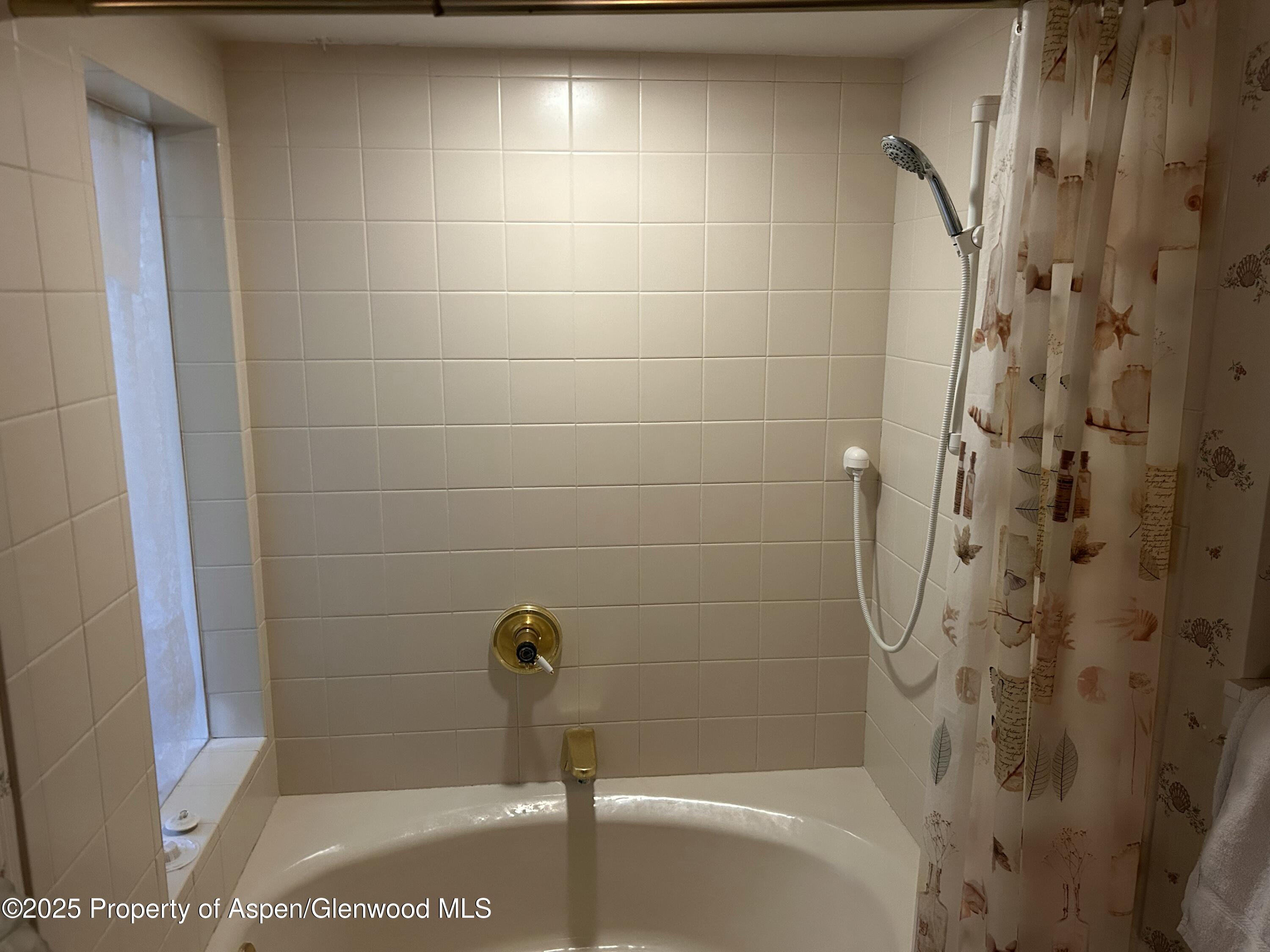 410 N Mill Street Aspen CO 81611