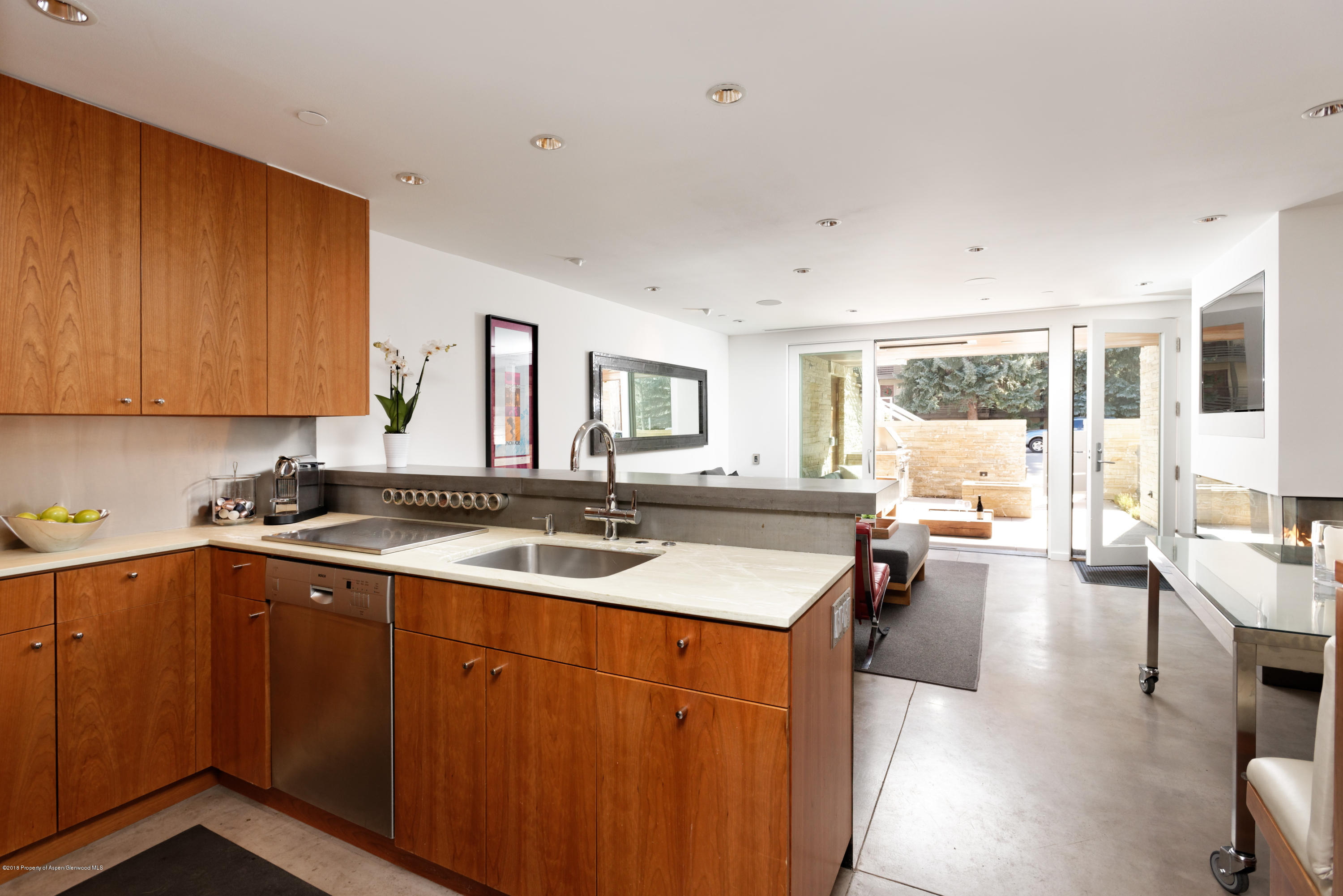 100 E Cooper Avenue Aspen CO 81611