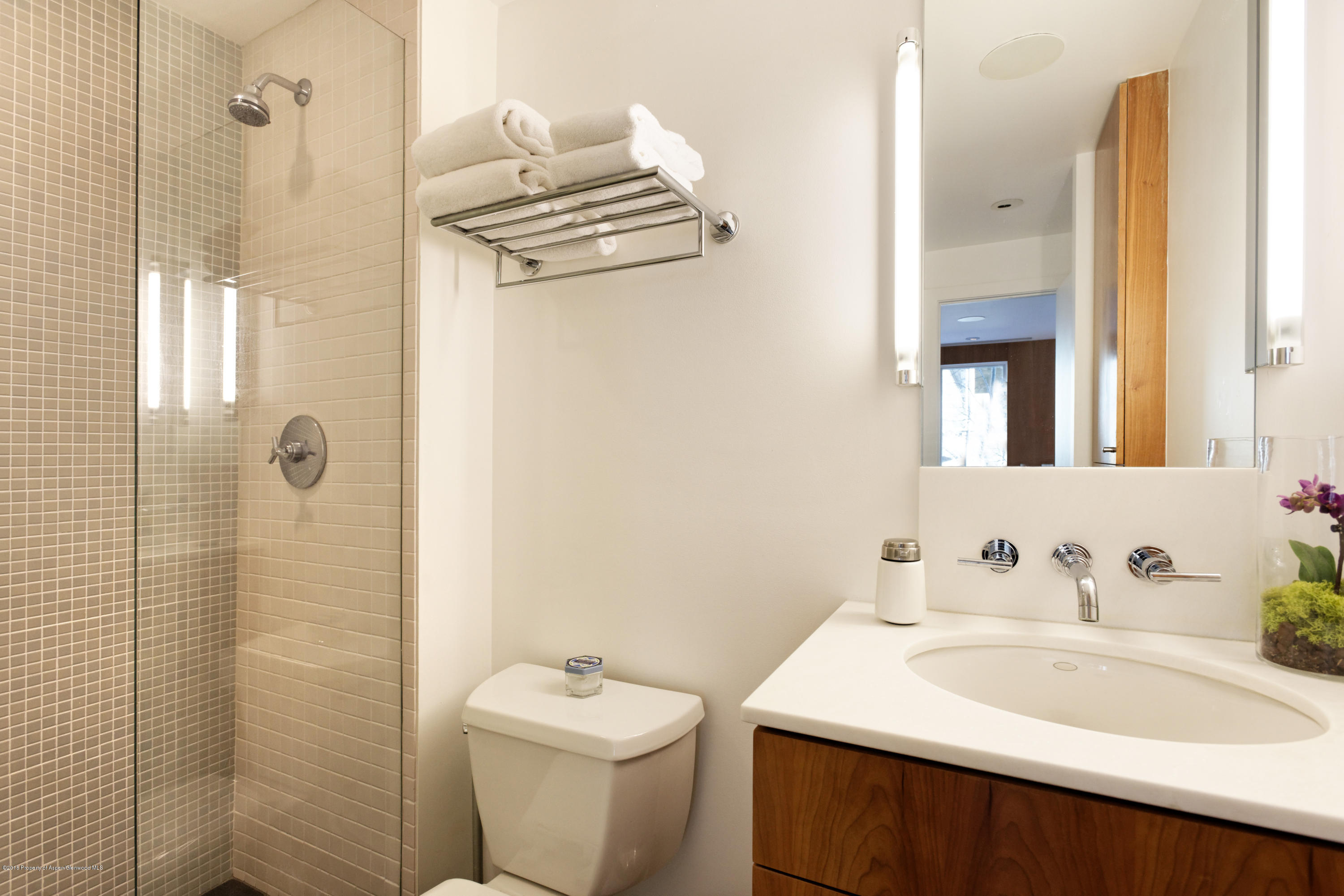 100 E Cooper Avenue Aspen CO 81611