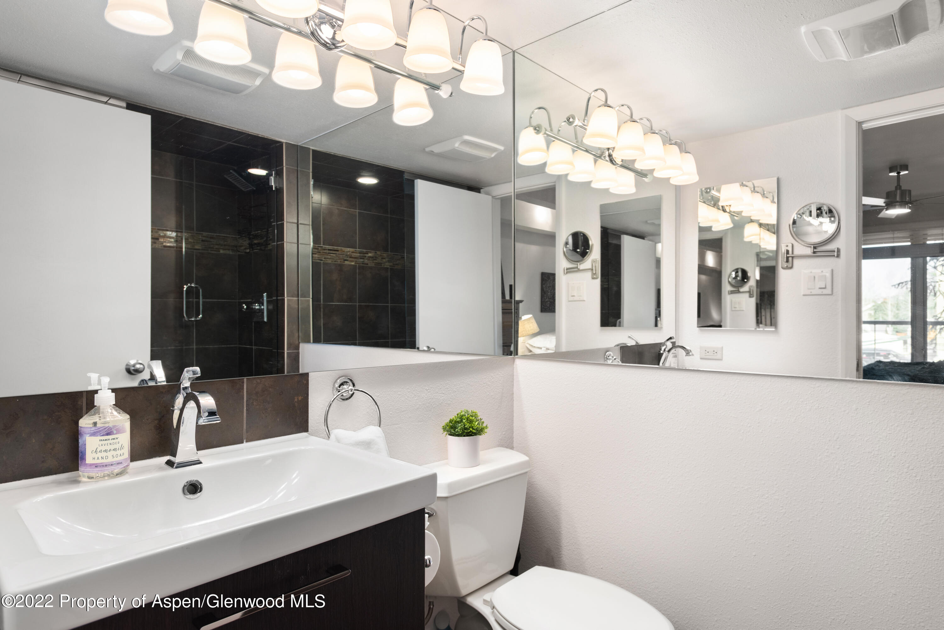 1034 E Cooper Avenue Aspen CO 81611