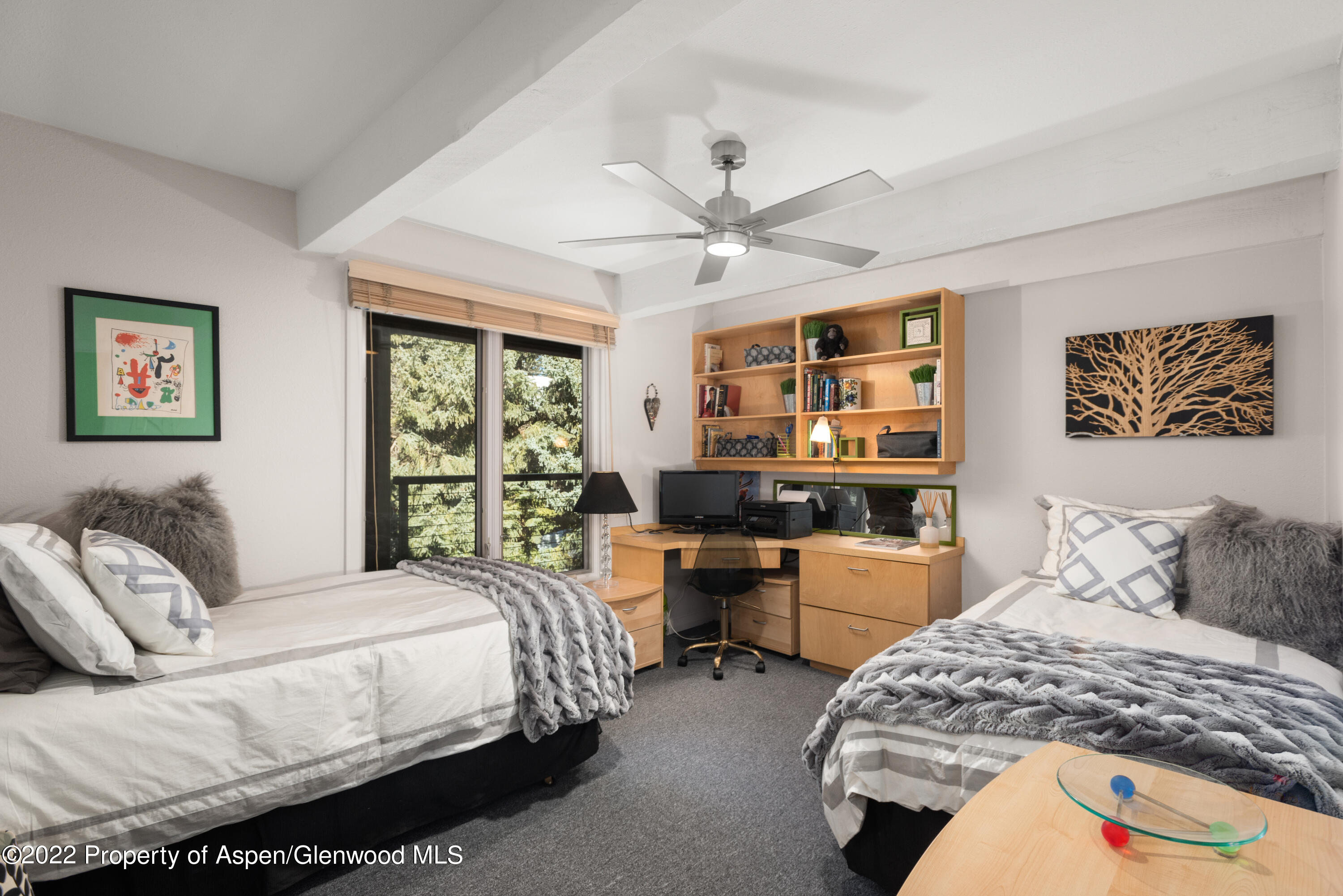 1034 E Cooper Avenue Aspen CO 81611