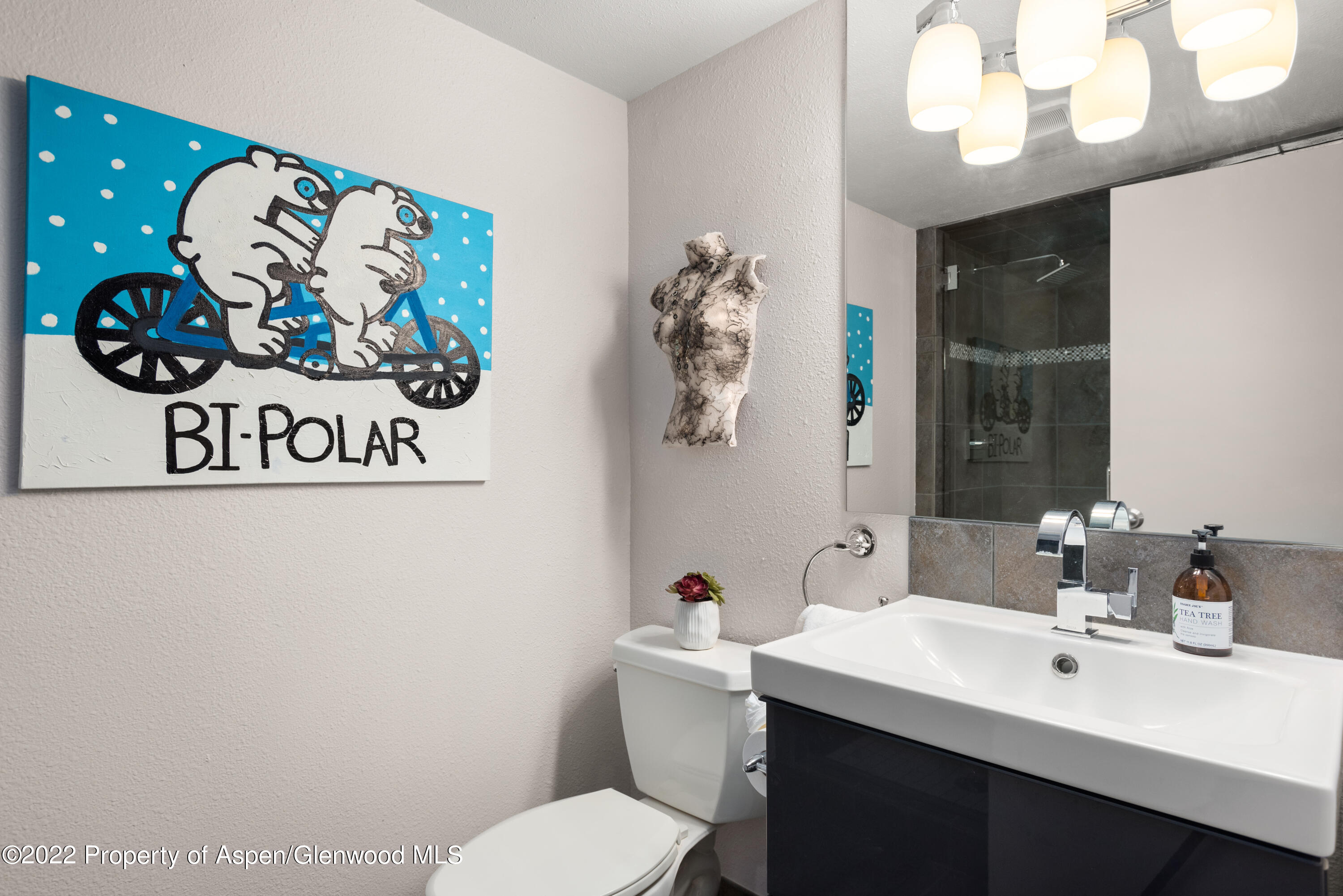 1034 E Cooper Avenue Aspen CO 81611