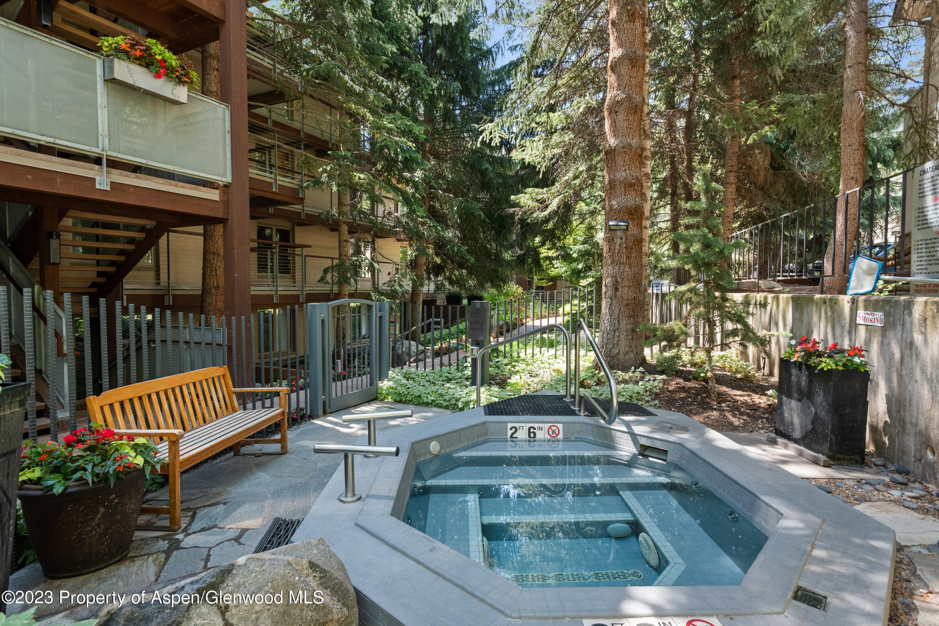 1034 E Cooper Avenue Aspen CO 81611