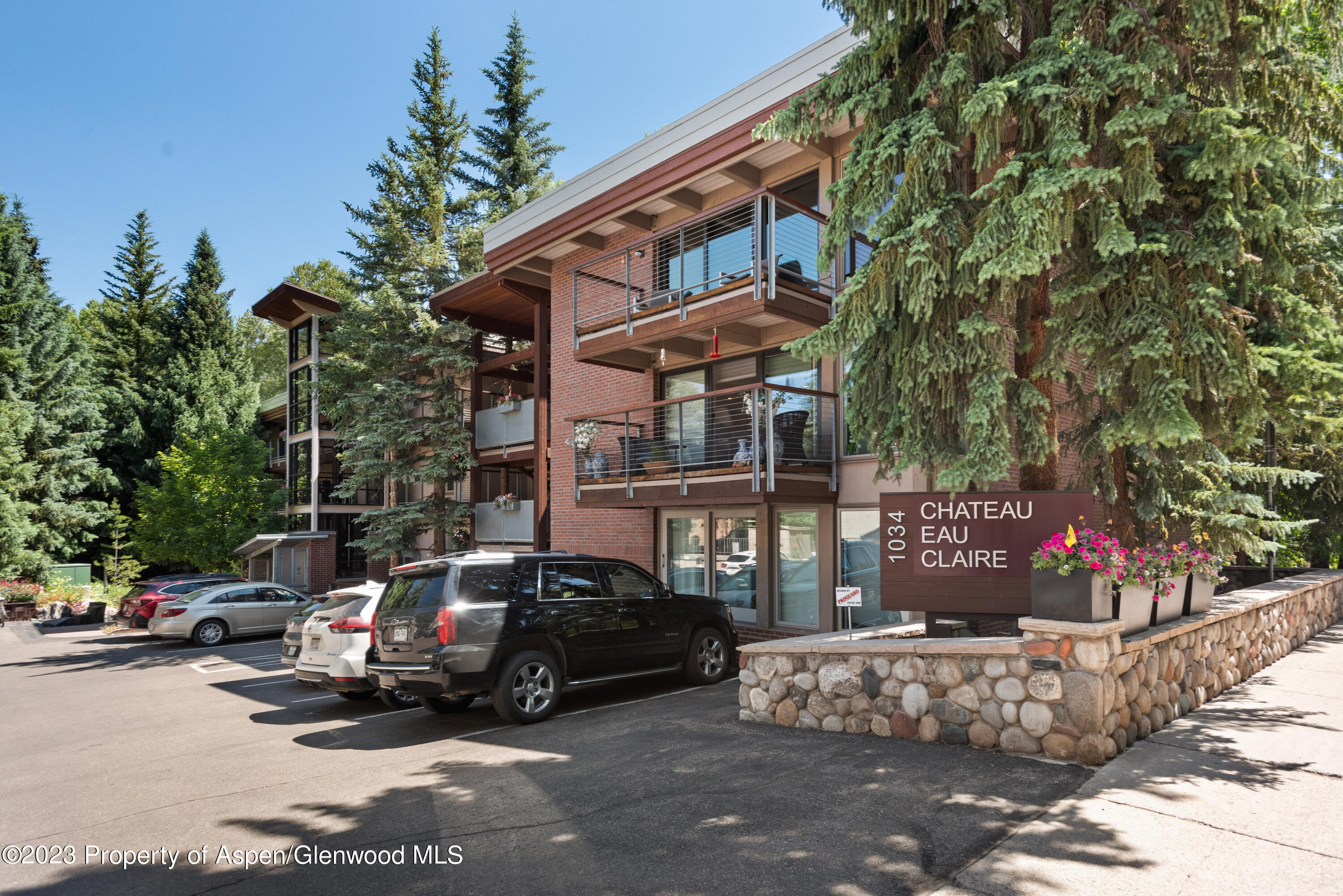 1034 E Cooper Avenue Aspen CO 81611