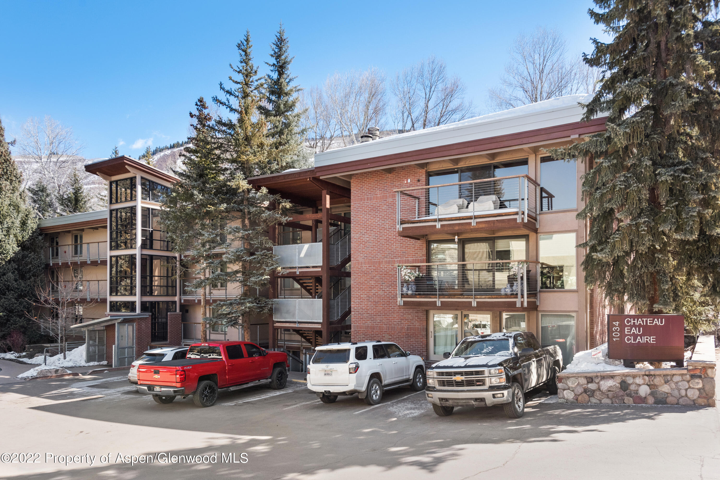 1034 E Cooper Avenue Aspen CO 81611