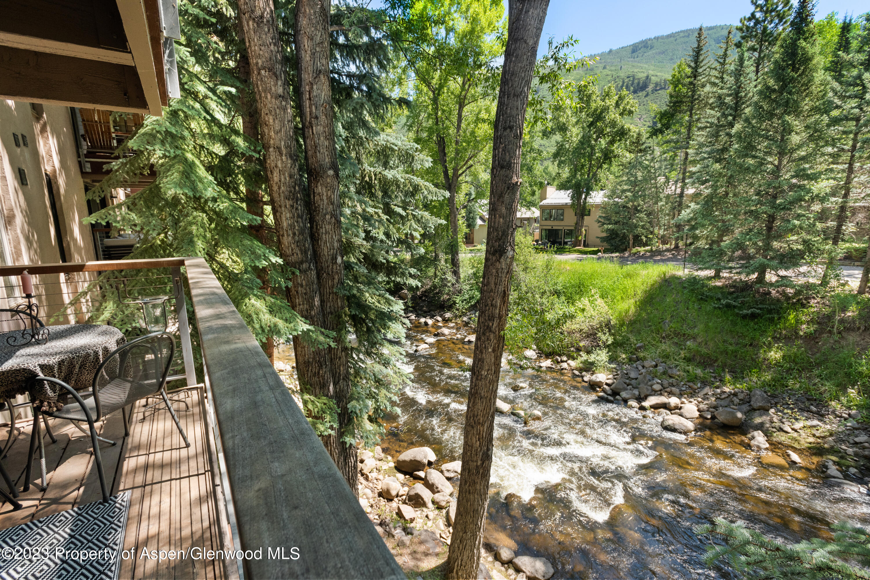 1034 E Cooper Avenue Aspen CO 81611