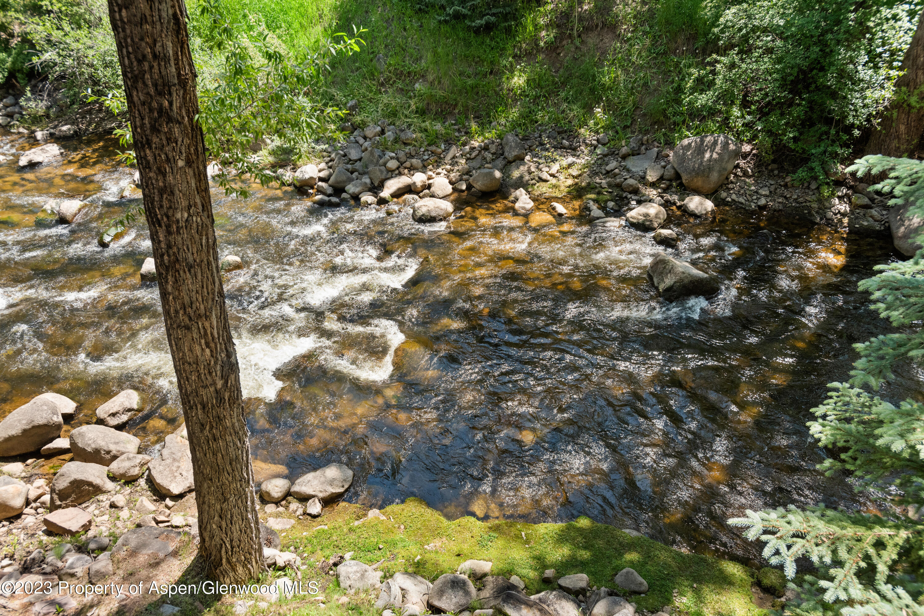 1034 E Cooper Avenue Aspen CO 81611