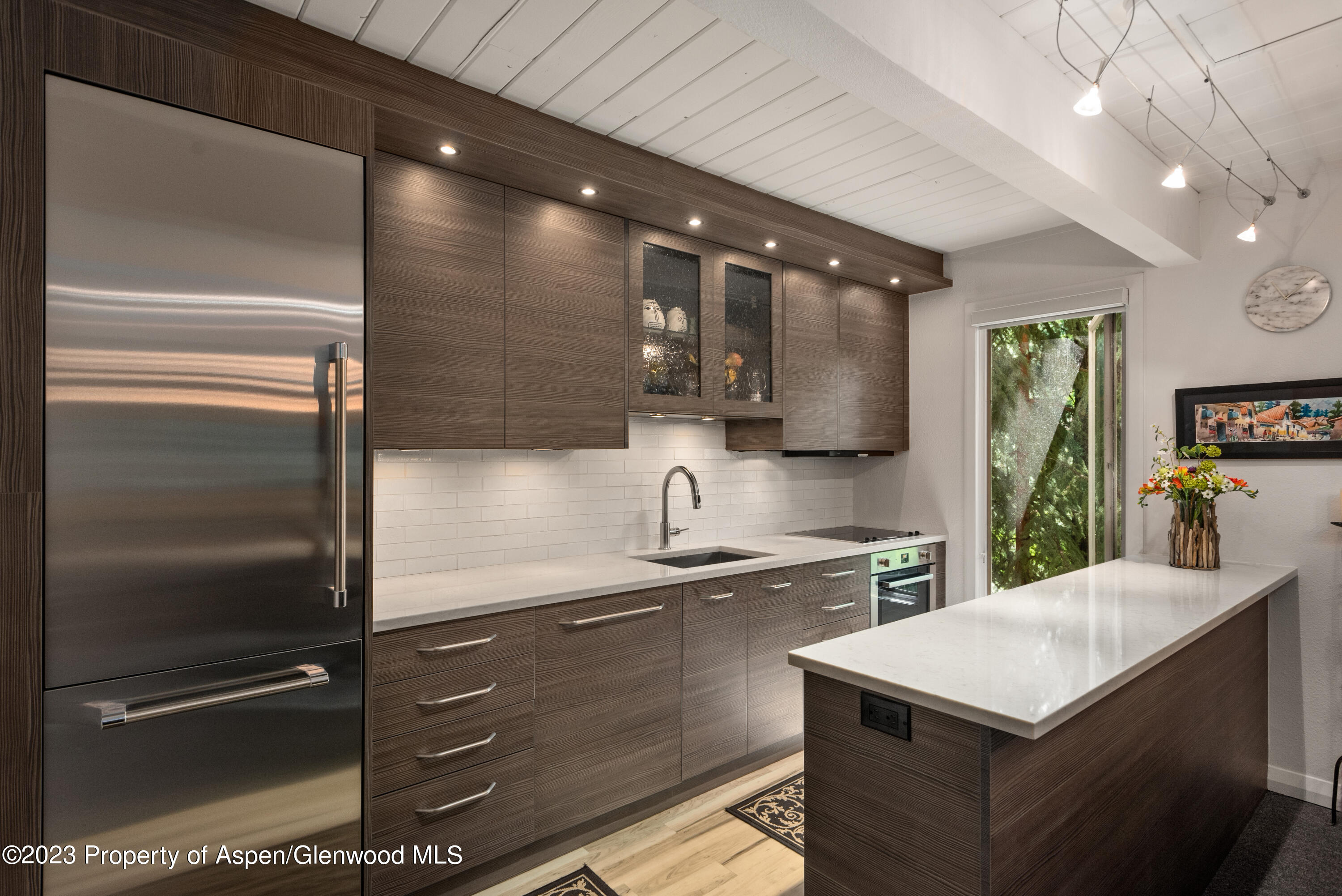 1034 E Cooper Avenue Aspen CO 81611