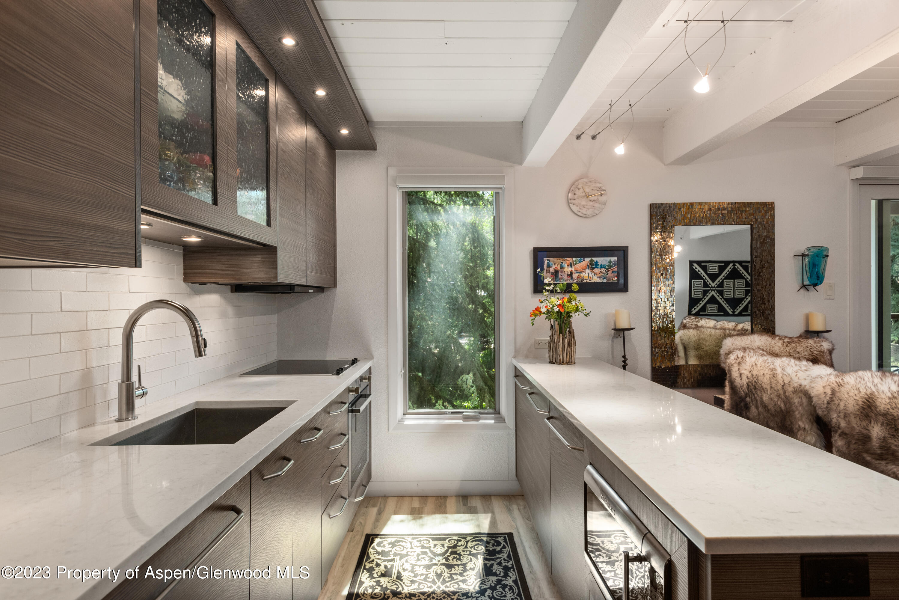 1034 E Cooper Avenue Aspen CO 81611