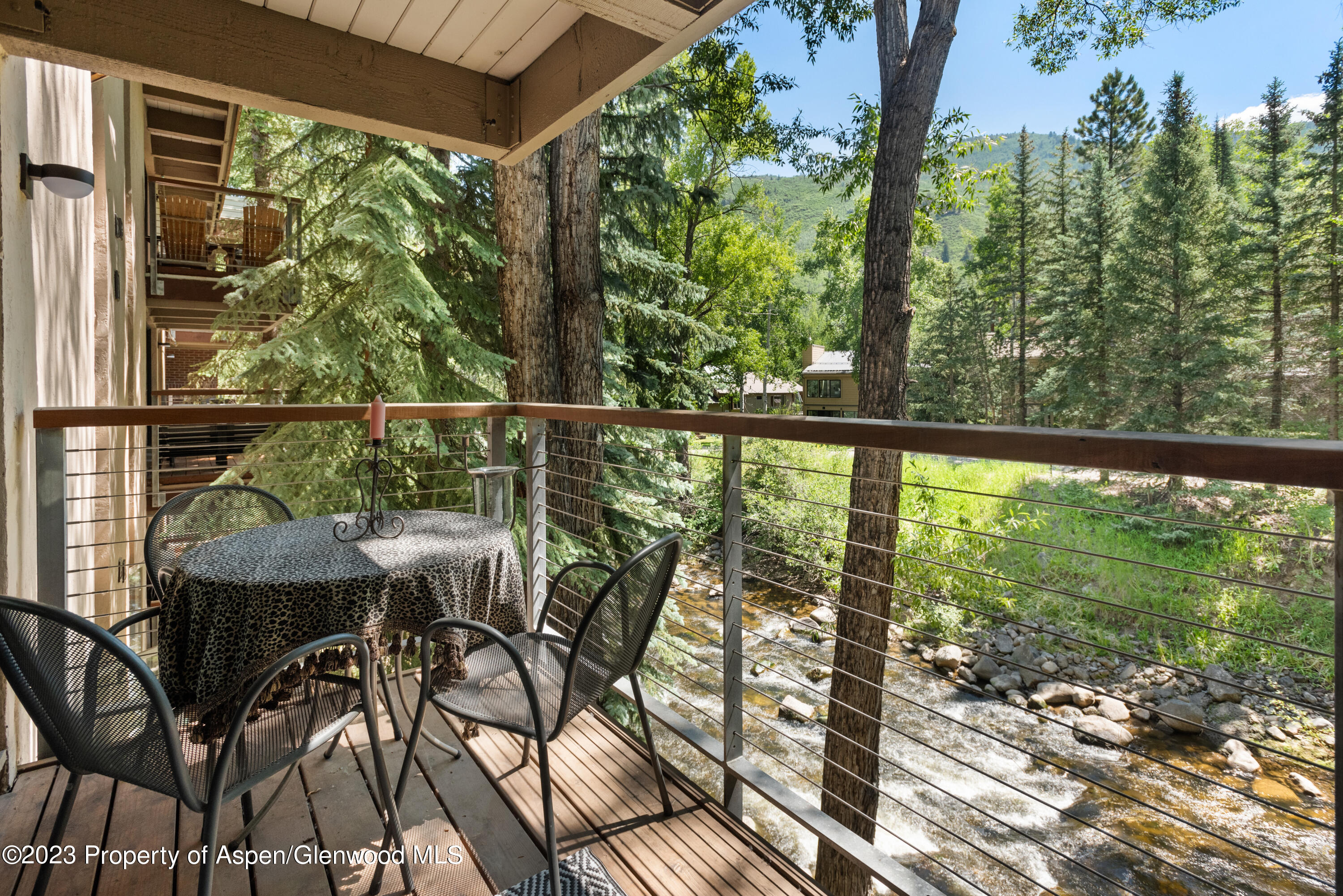 1034 E Cooper Avenue Aspen CO 81611