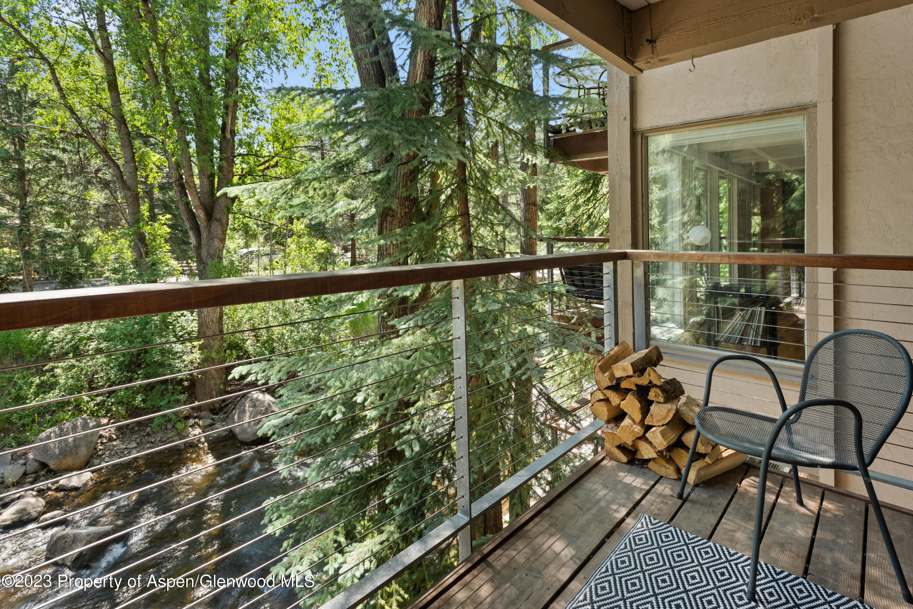 1034 E Cooper Avenue Aspen CO 81611