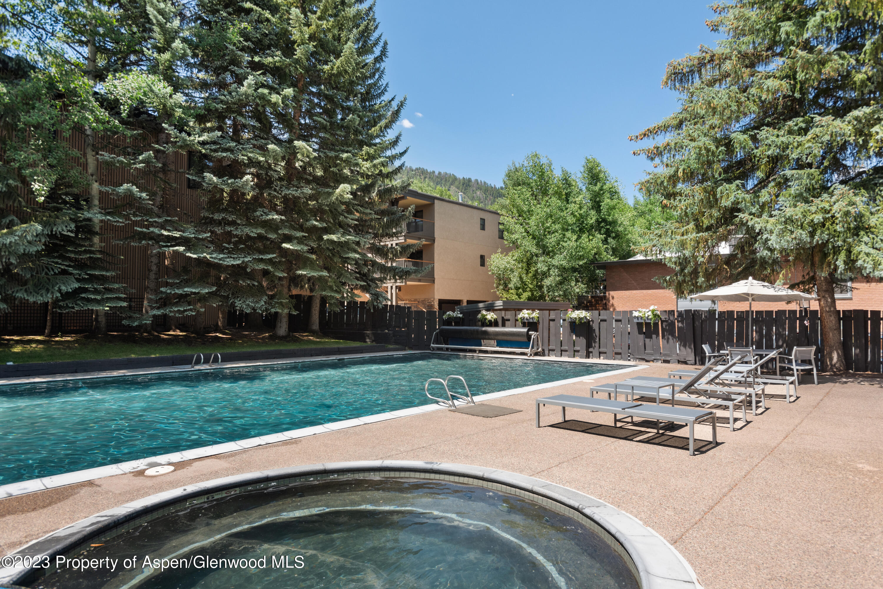 1034 E Cooper Avenue Aspen CO 81611