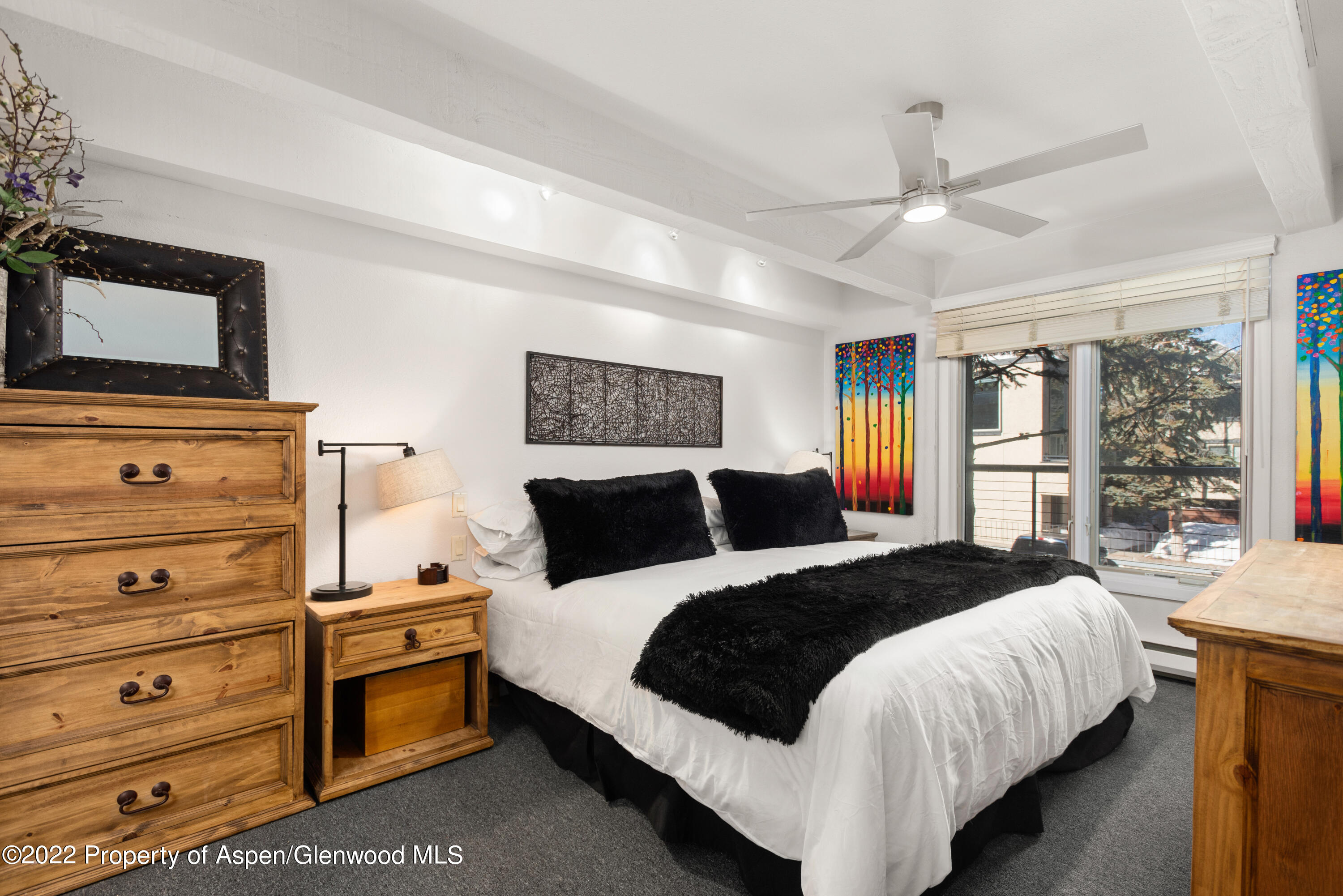 1034 E Cooper Avenue Aspen CO 81611