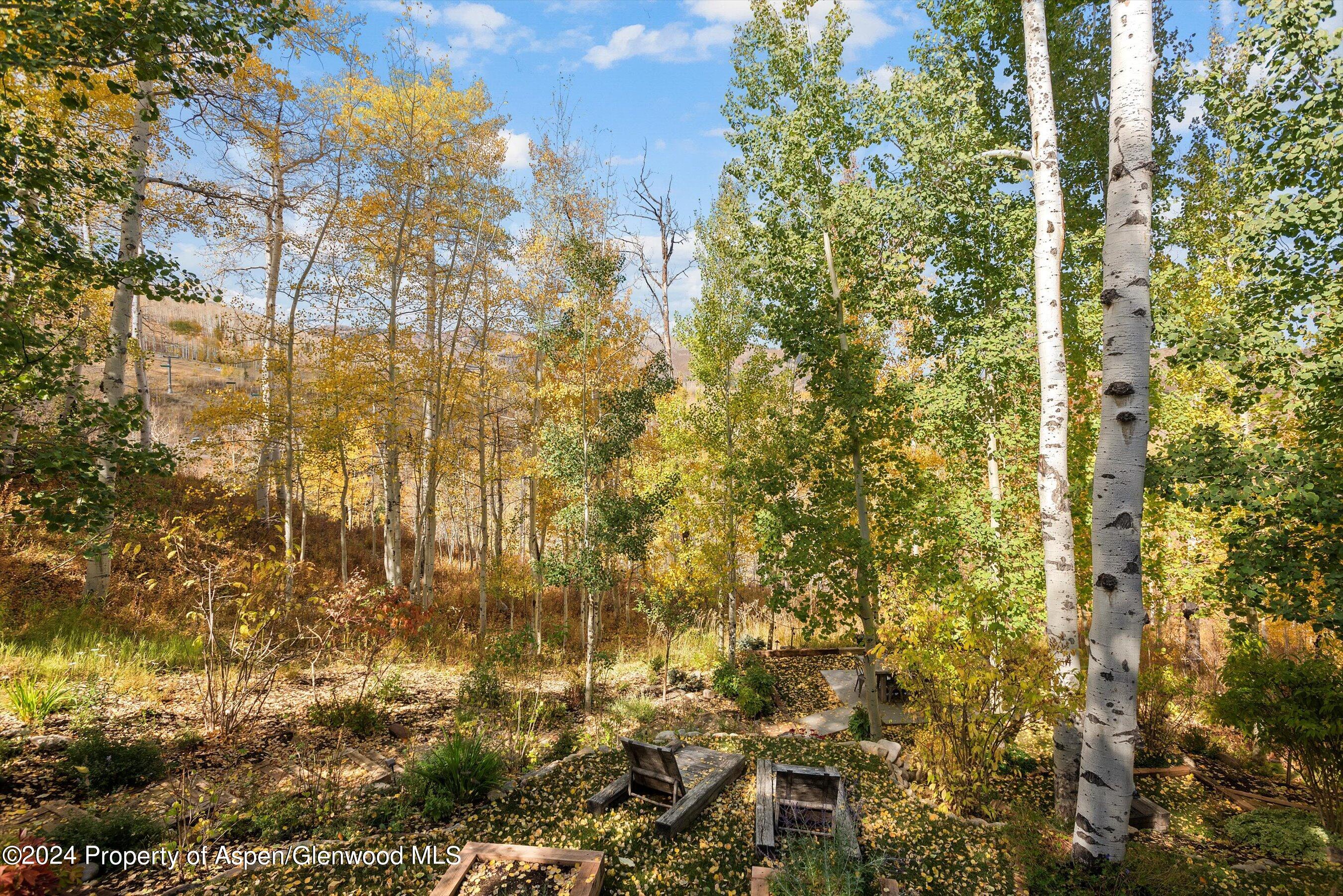 234 Bridge Lane Snowmass Village CO 81615