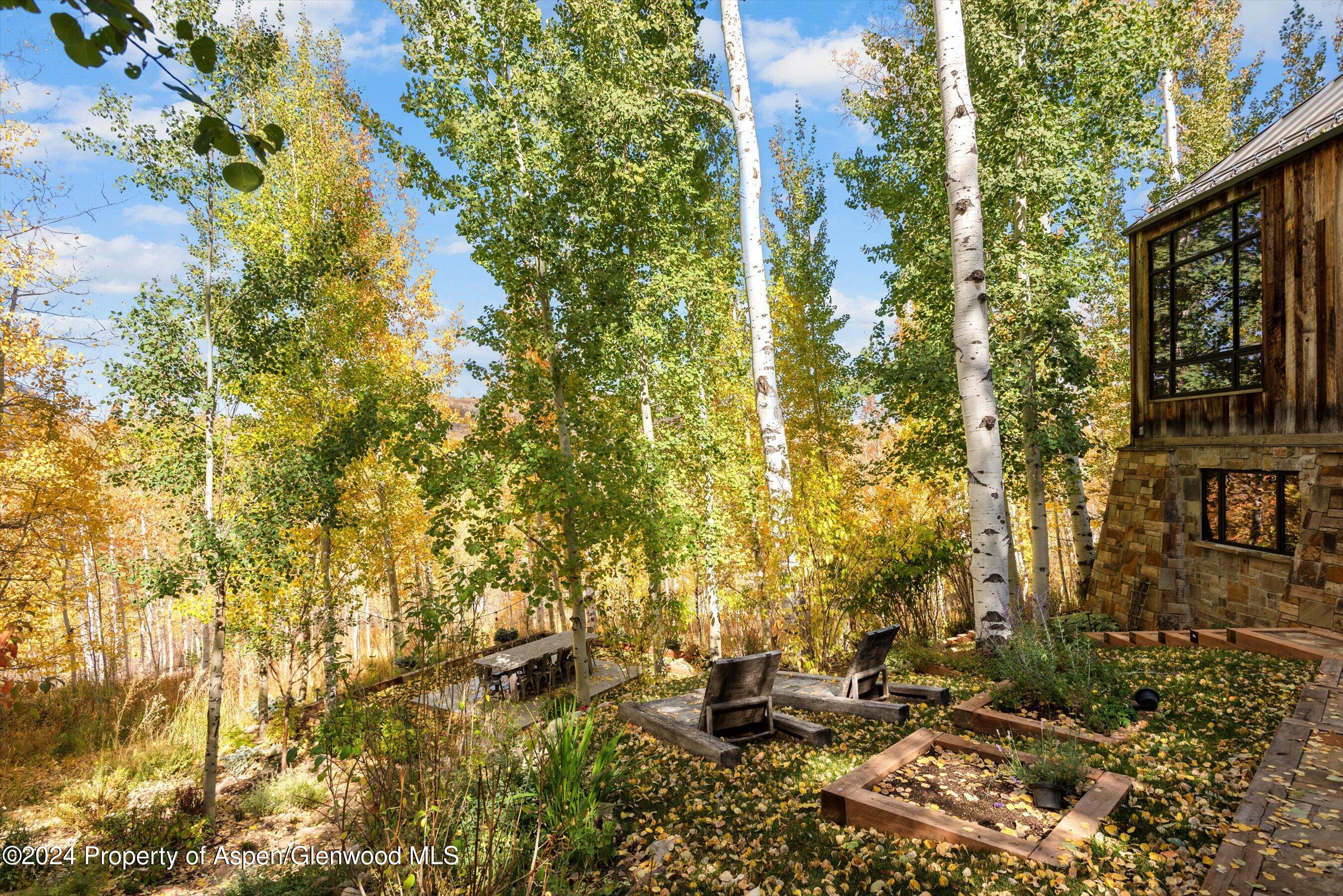 234 Bridge Lane Snowmass Village CO 81615