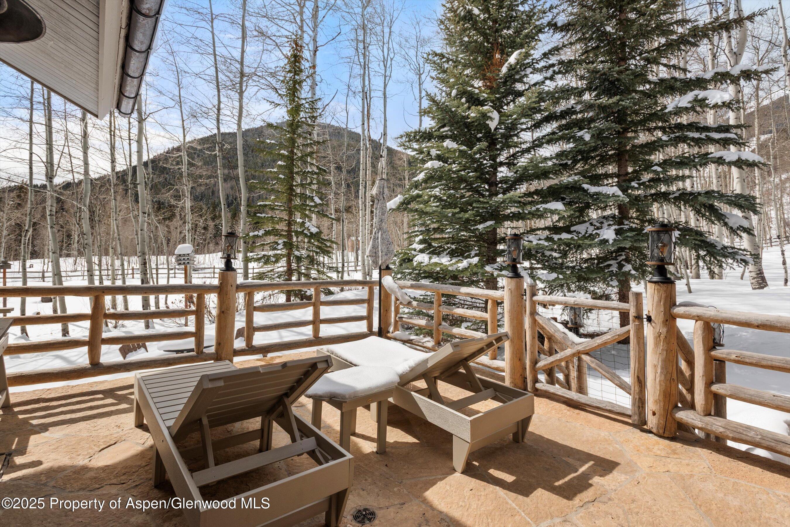 303 Conundrum Creek Road Aspen CO 81611