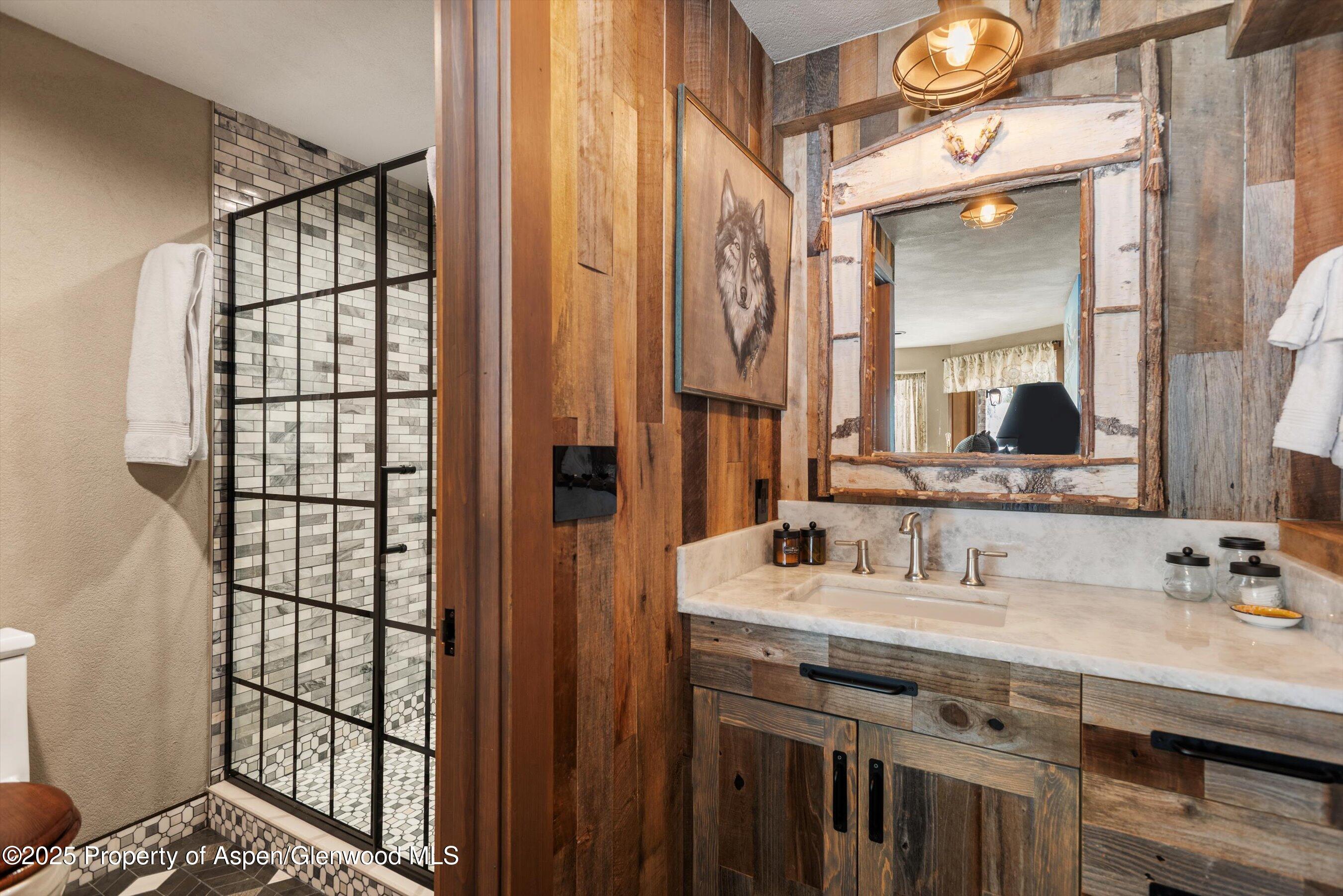 303 Conundrum Creek Road Aspen CO 81611