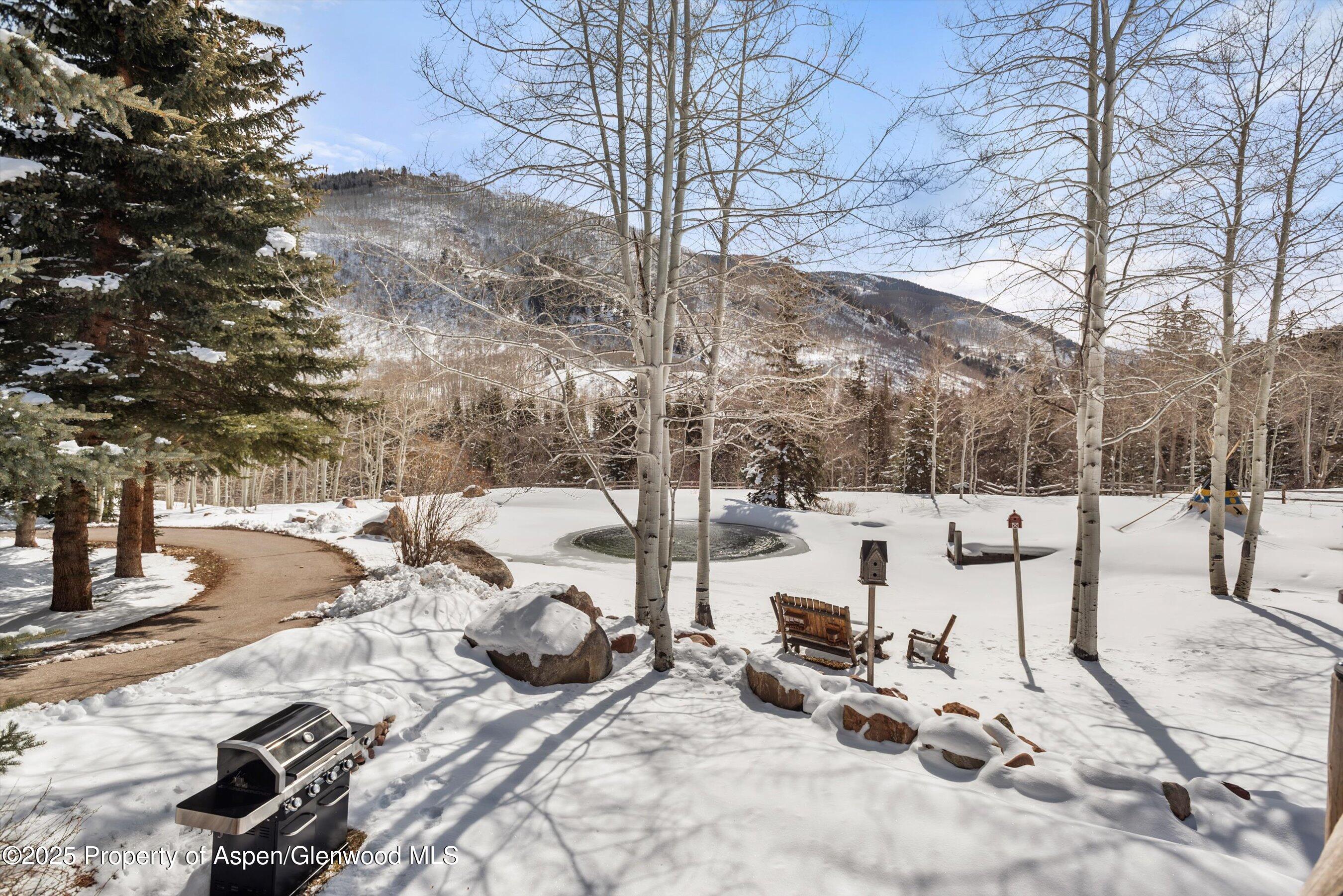 303 Conundrum Creek Road Aspen CO 81611