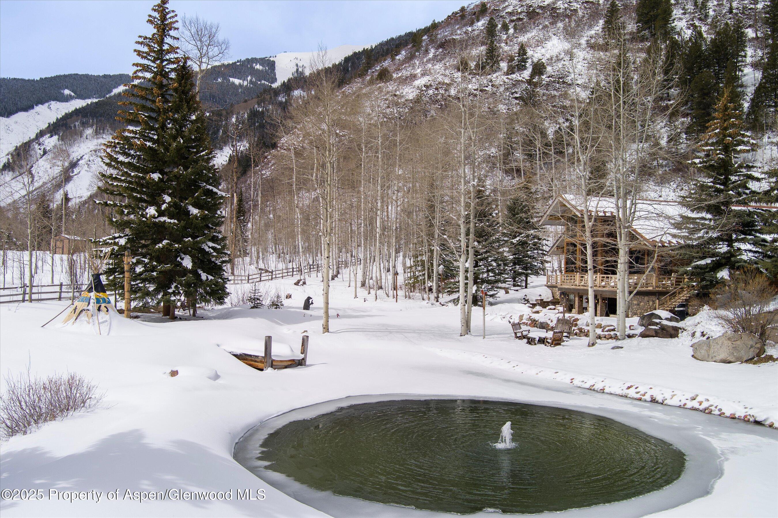 303 Conundrum Creek Road Aspen CO 81611