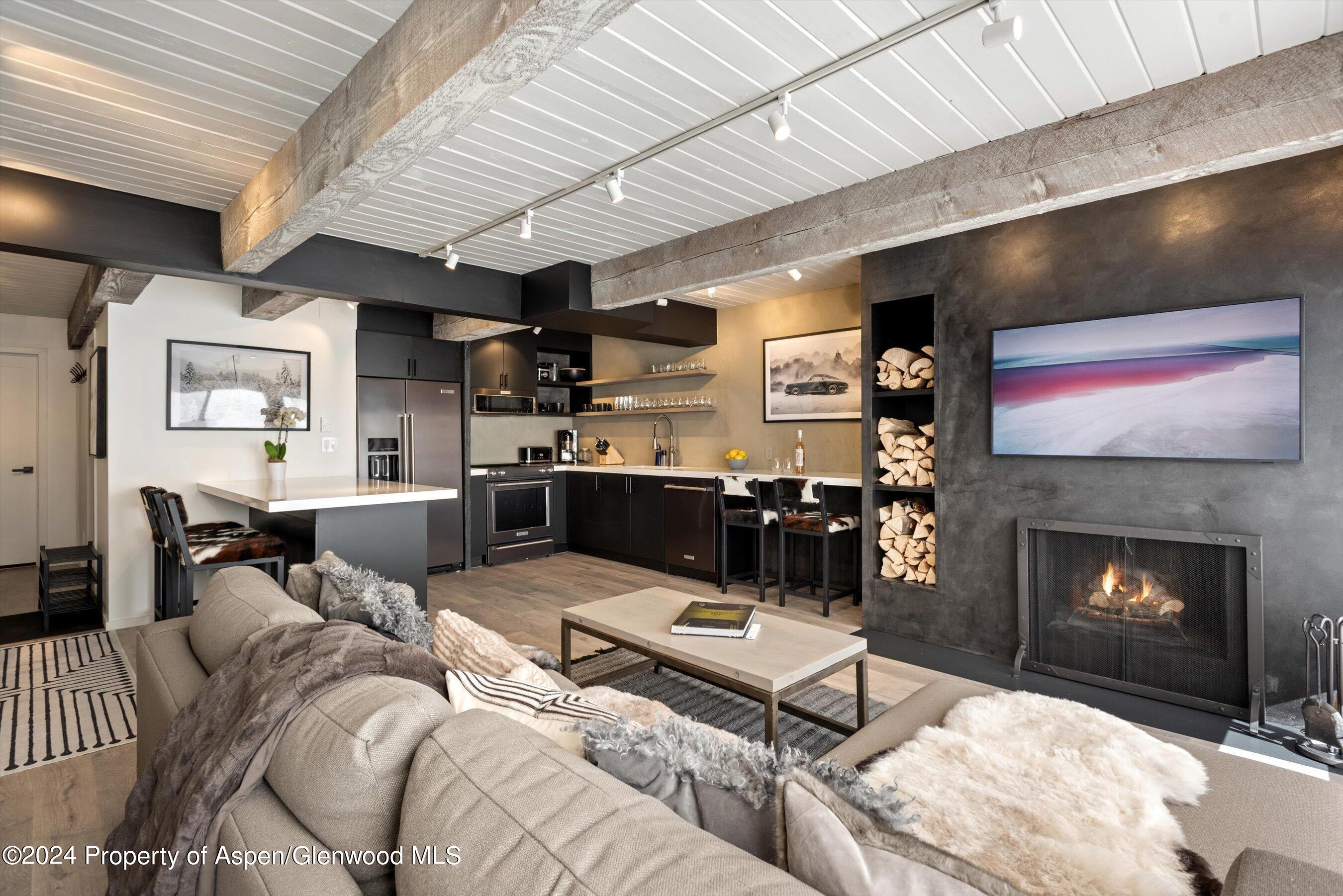 1039 E Cooper Avenue Aspen CO 81611